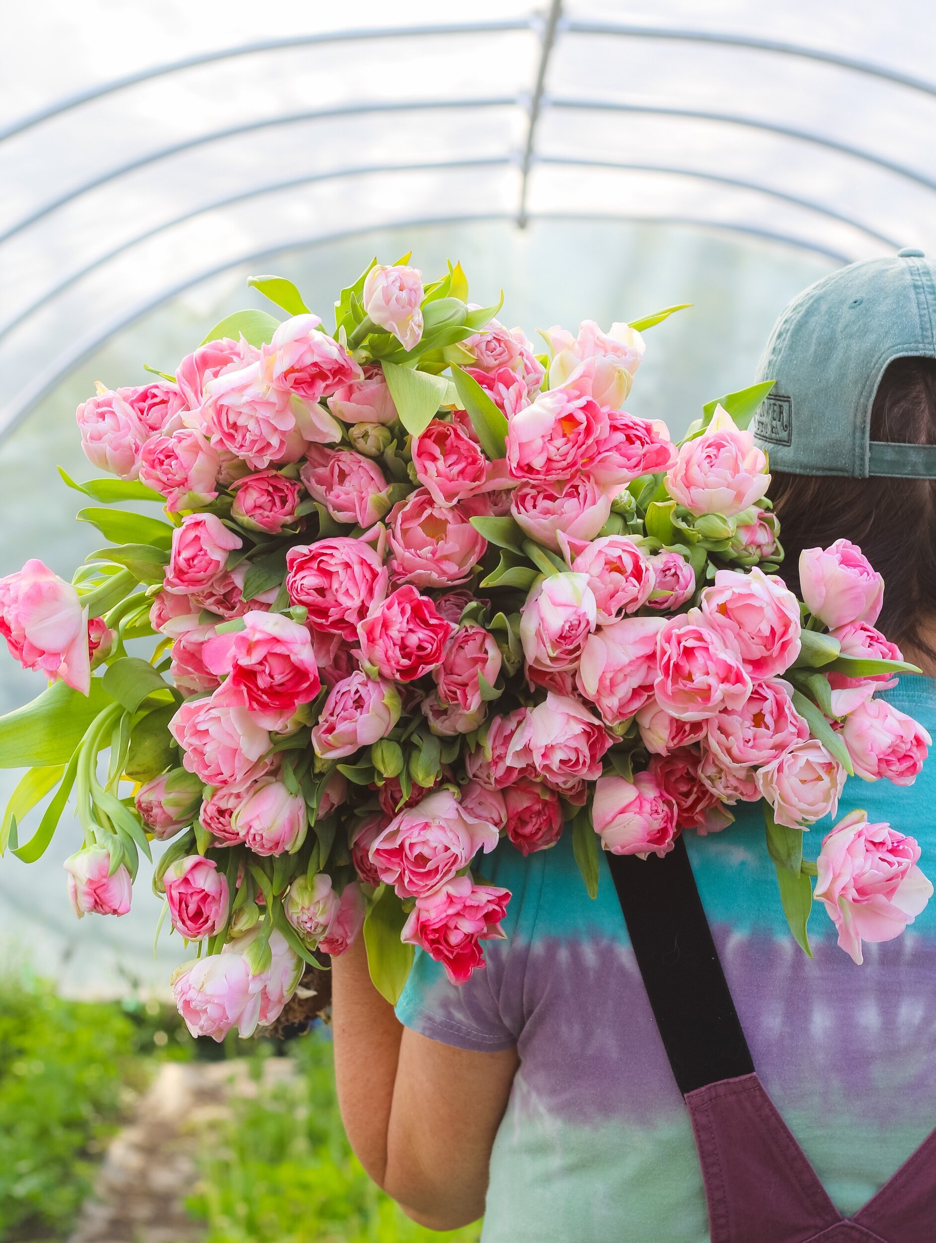 250A5F11-8253-411C-BD7E-5649F6CBC4F4