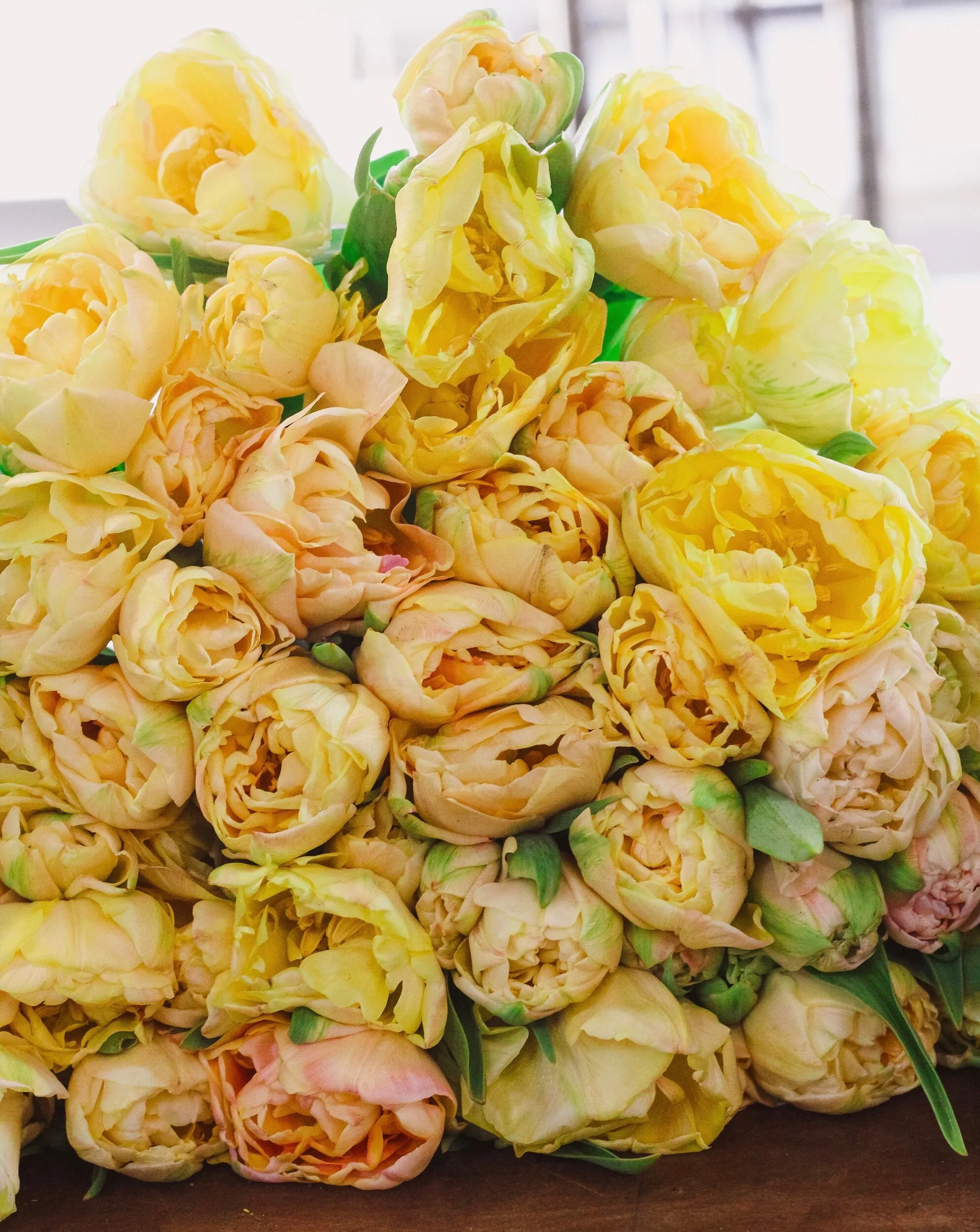 CEA10E09-D9C5-4A6A-8112-7B794FEC3C02