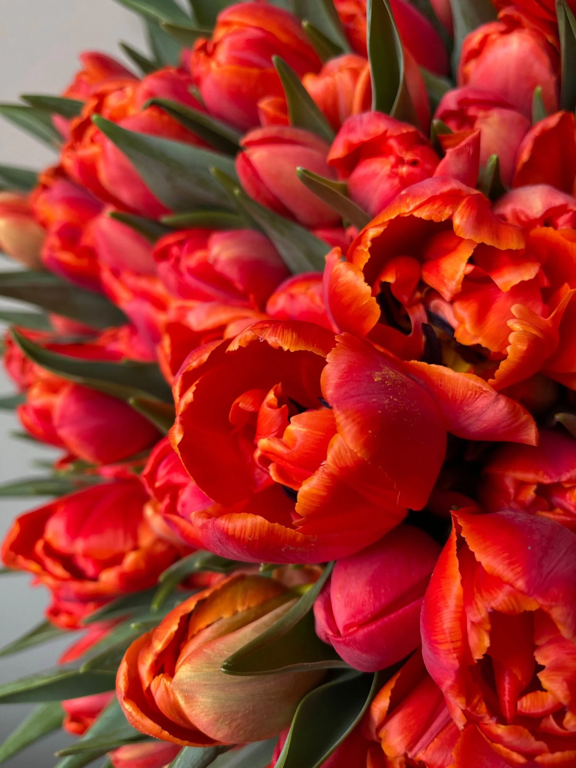 4B96F9D8-CC65-4F9C-BF06-D521505FA6F0