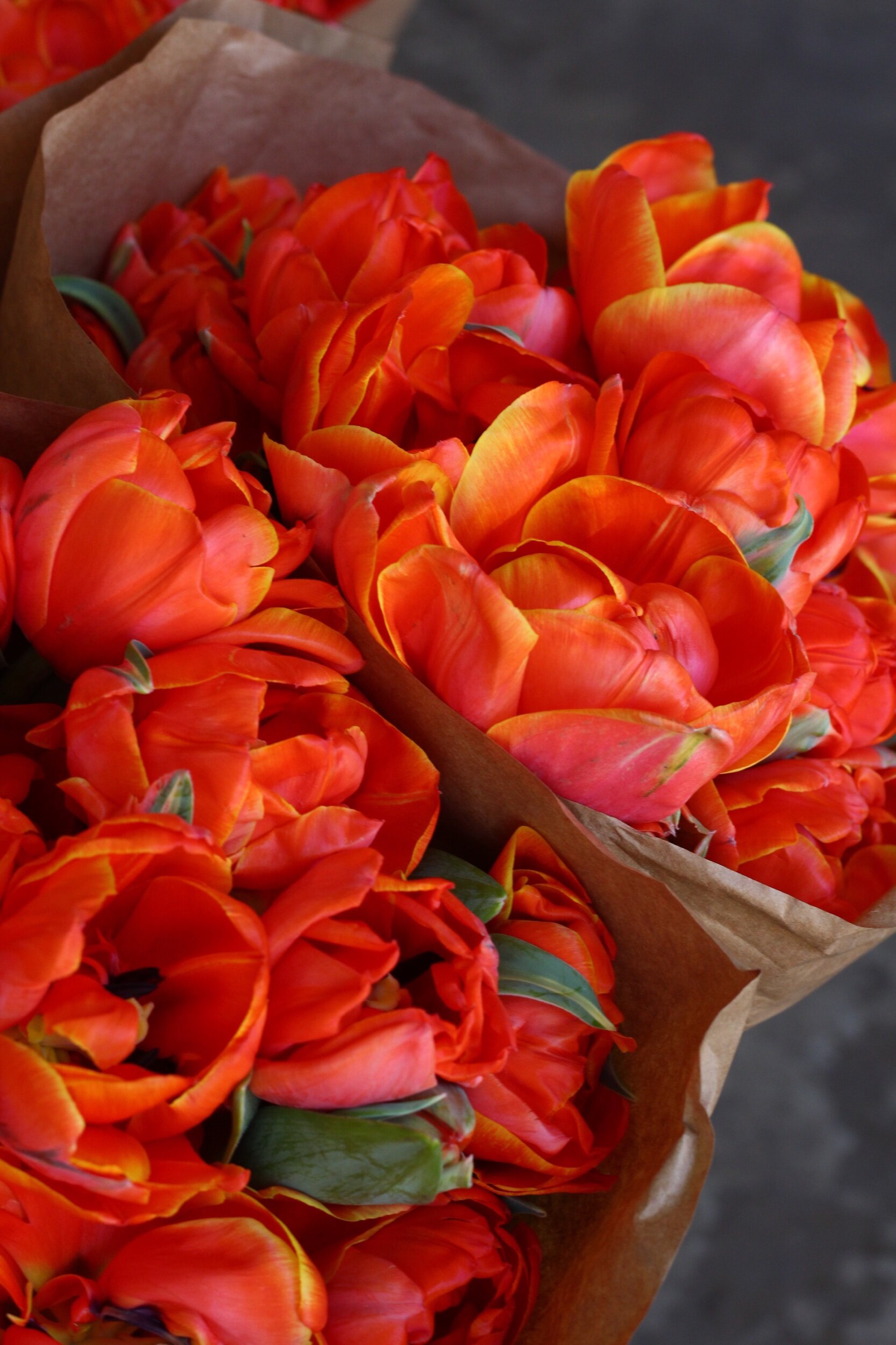 0C67B448-DC8B-4FE3-B2B7-507A94CC5988