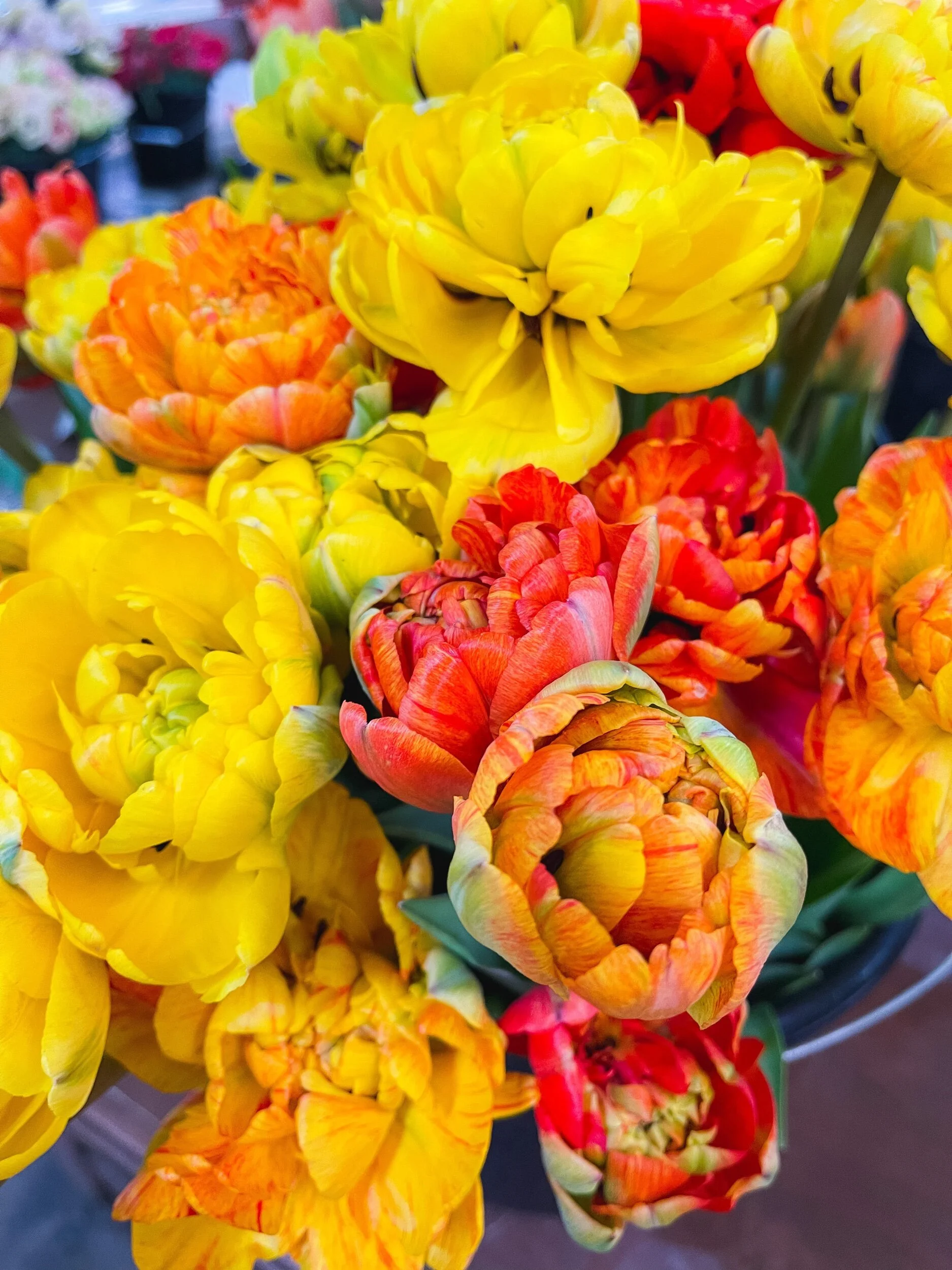 870E2A08-16B4-423B-8961-247EAD02EF6C