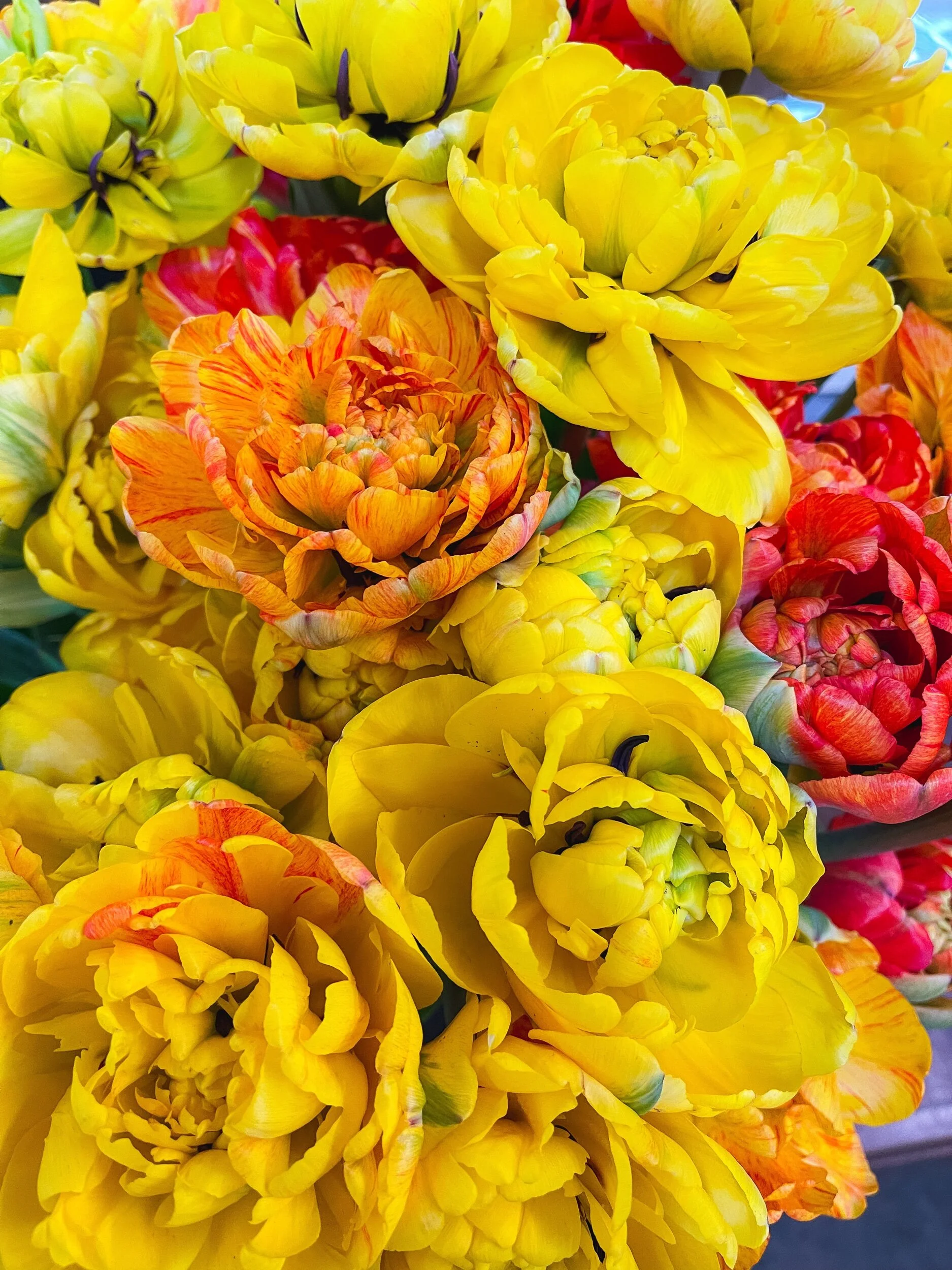 E4496E06-6C5B-484F-A346-EFC50DA2423C