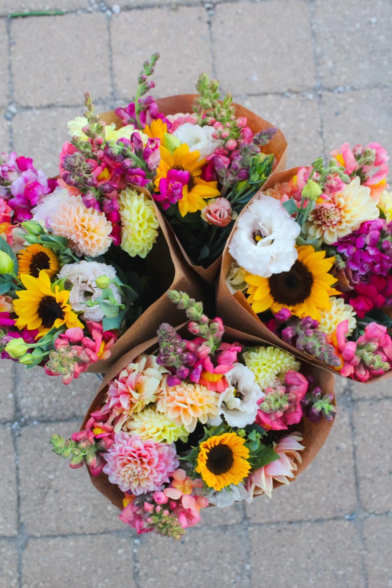 F61075E3-0C9E-4DA0-885F-E09BC460729D