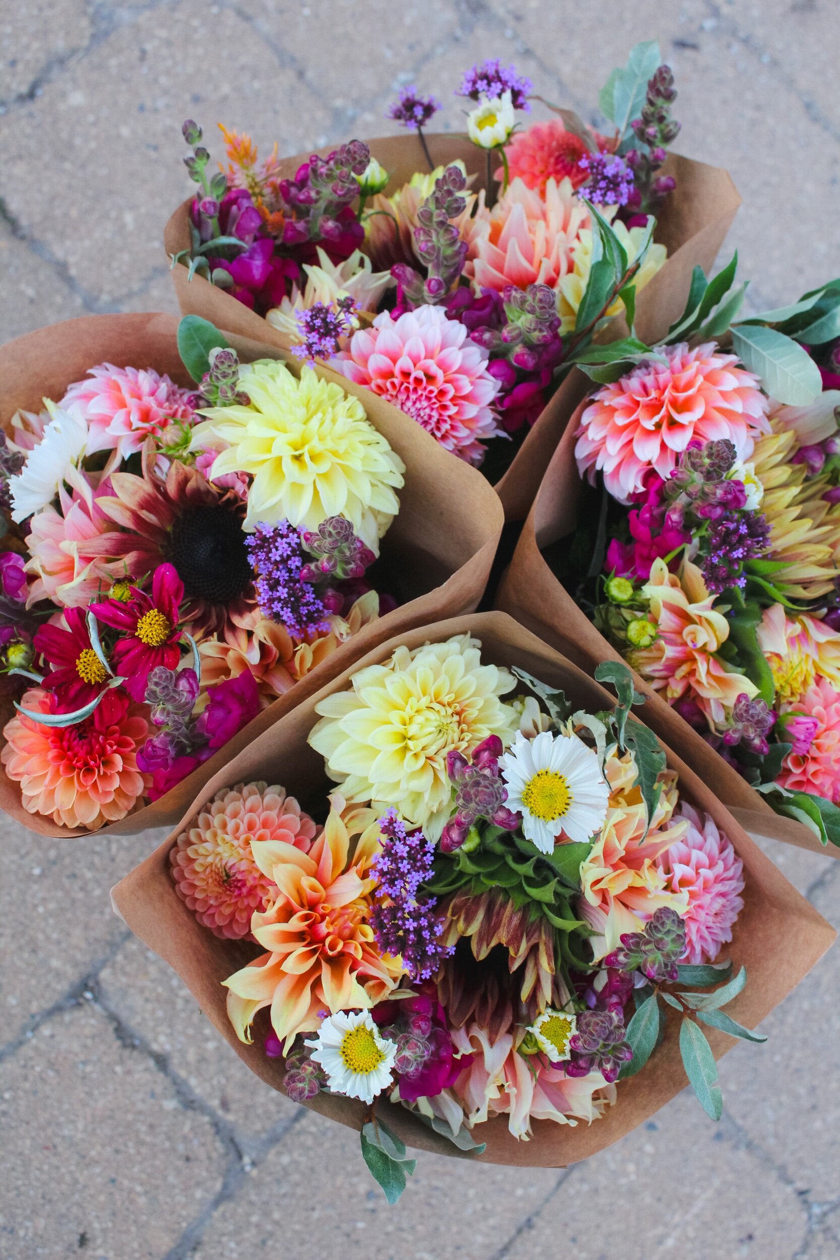 E64F8735-7C6A-4540-BAD1-E05FEF432EF2