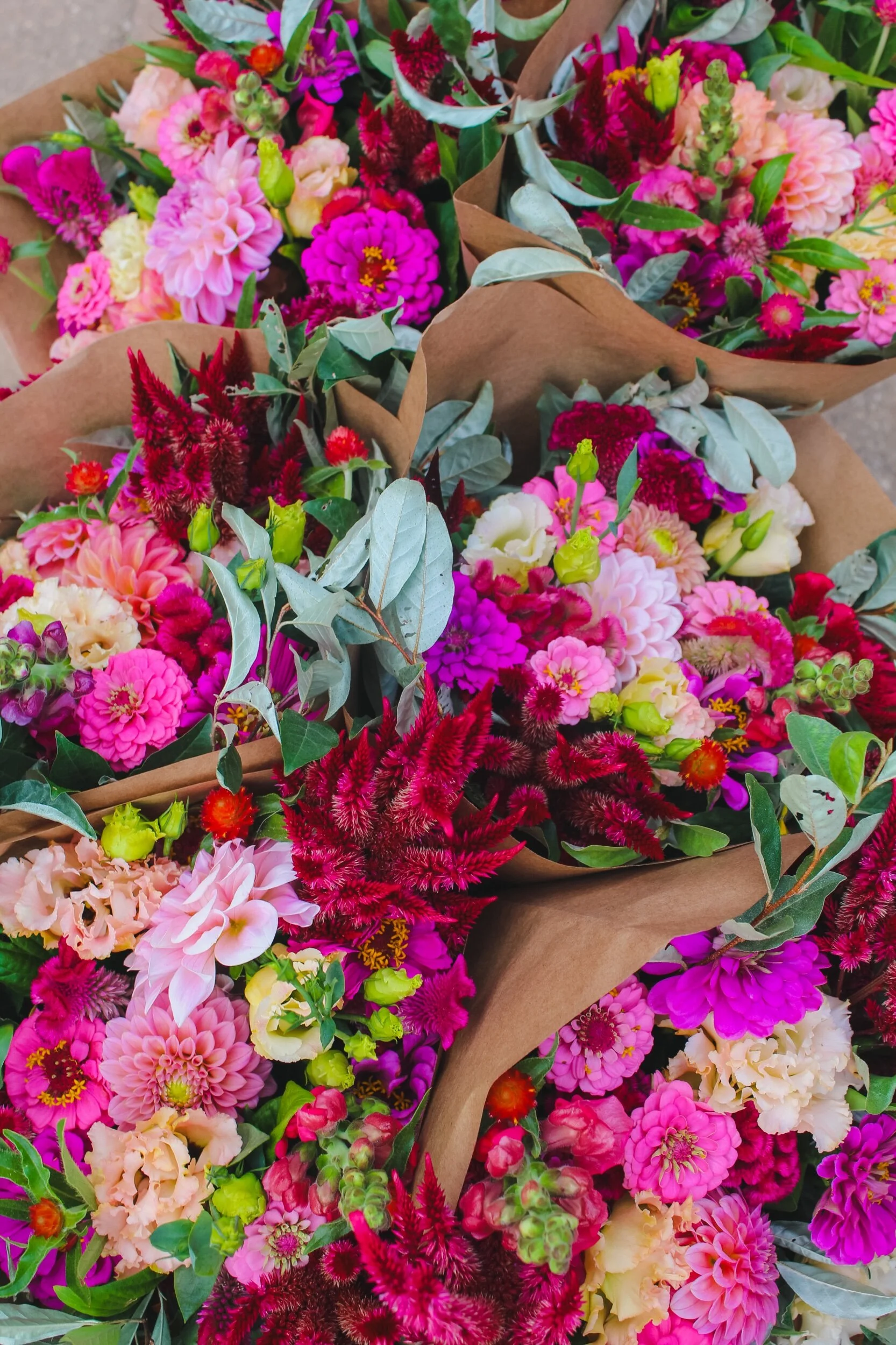 5FA06DBF-D12B-4A30-A369-F2BAE4EB724E