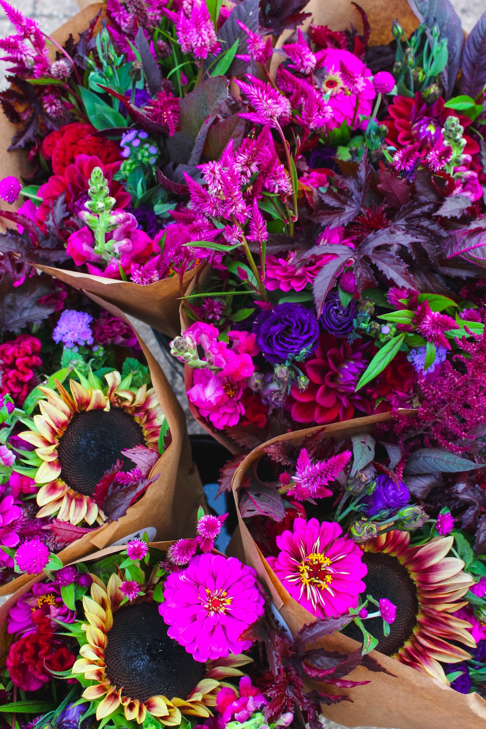 8C8129CB-5738-4A0D-A749-BC8AA49A4AF3