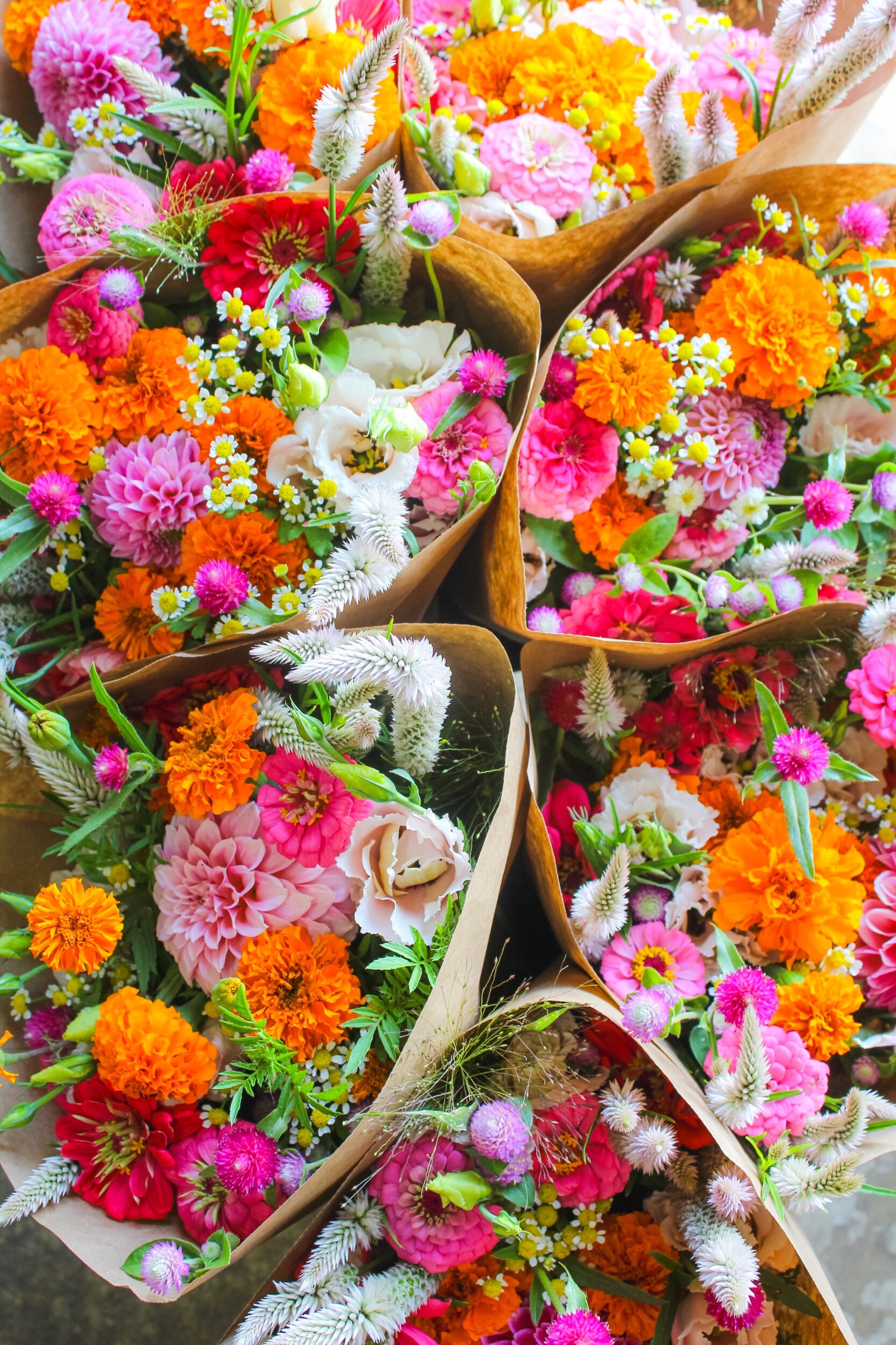 676F5B2E-53D7-40FF-BA24-770D55A6E382