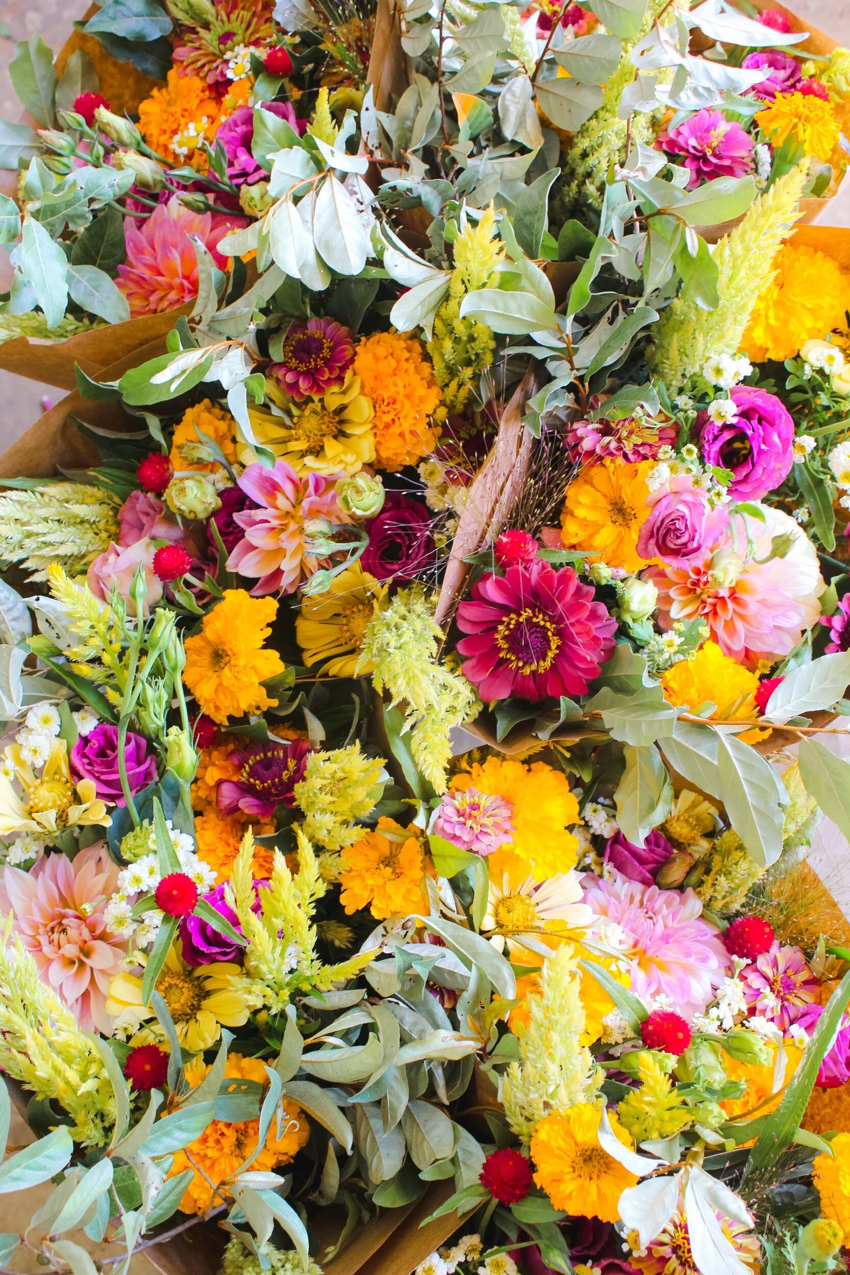 E4666AF8-4F1F-412C-9FF5-1D95C08056D2