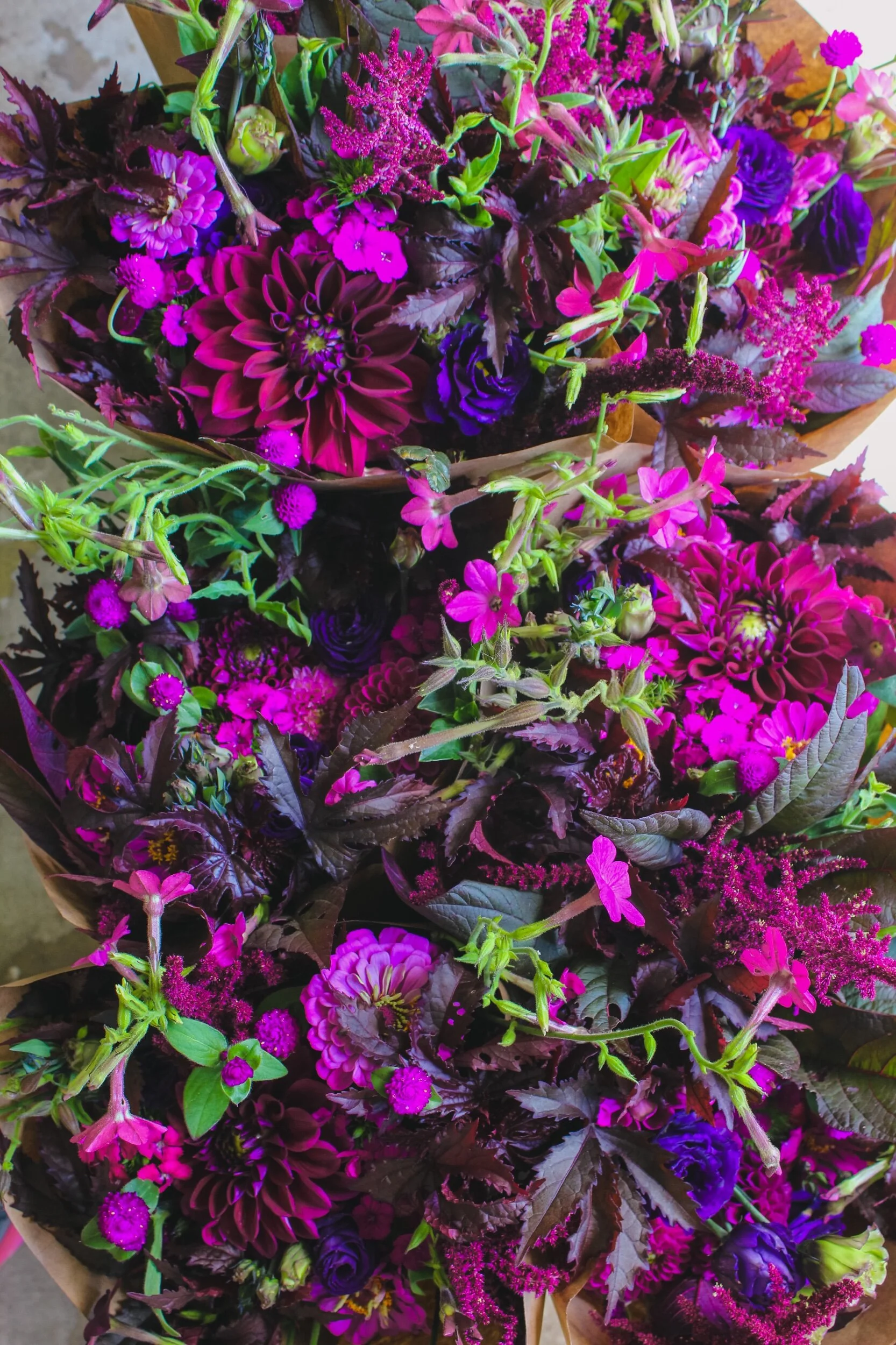 1B484B53-DBB5-4C1F-B10B-0A63DBFCAE72