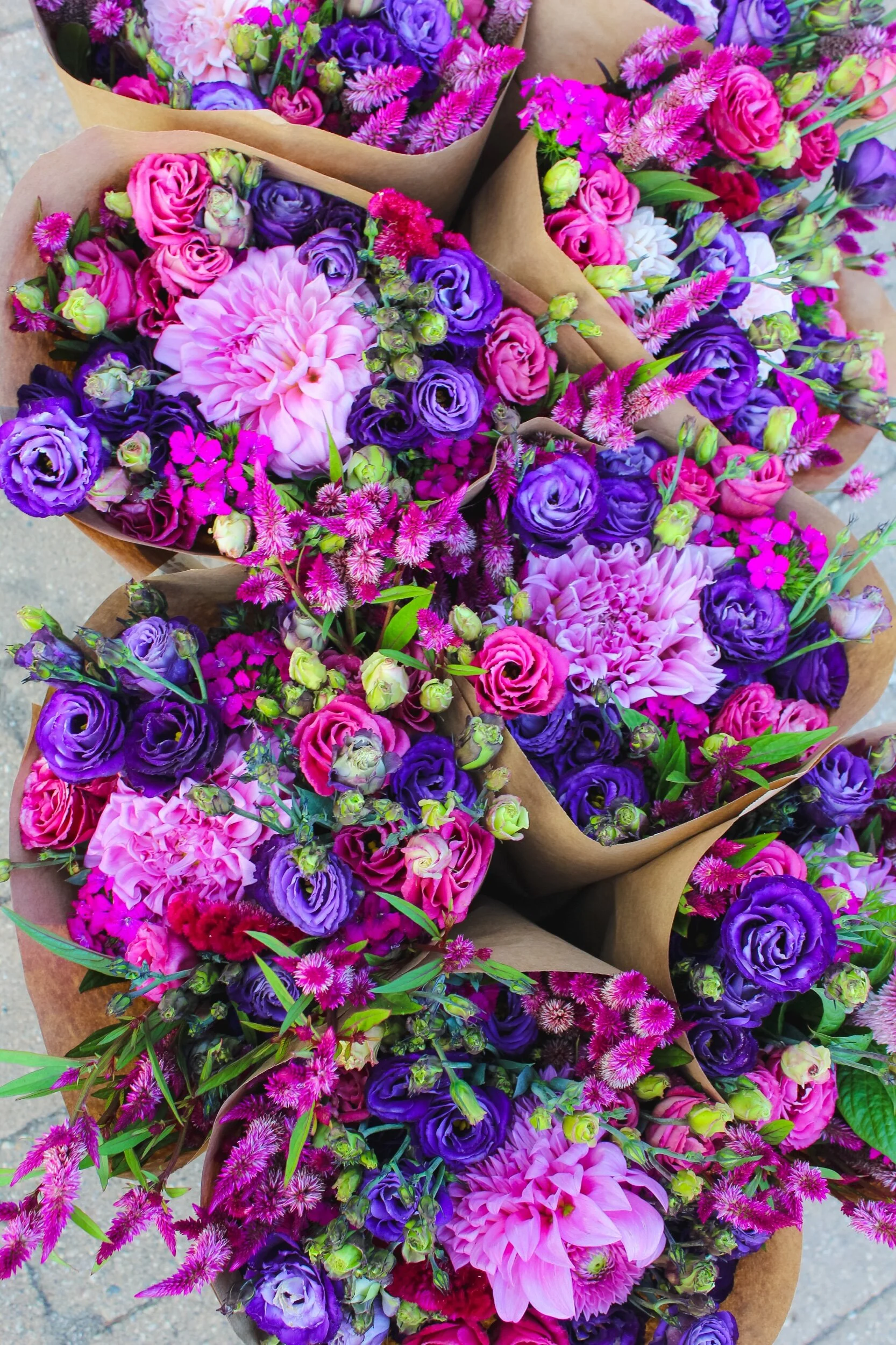 7F27AB15-929A-4658-BCCC-14E80CFEFDD4