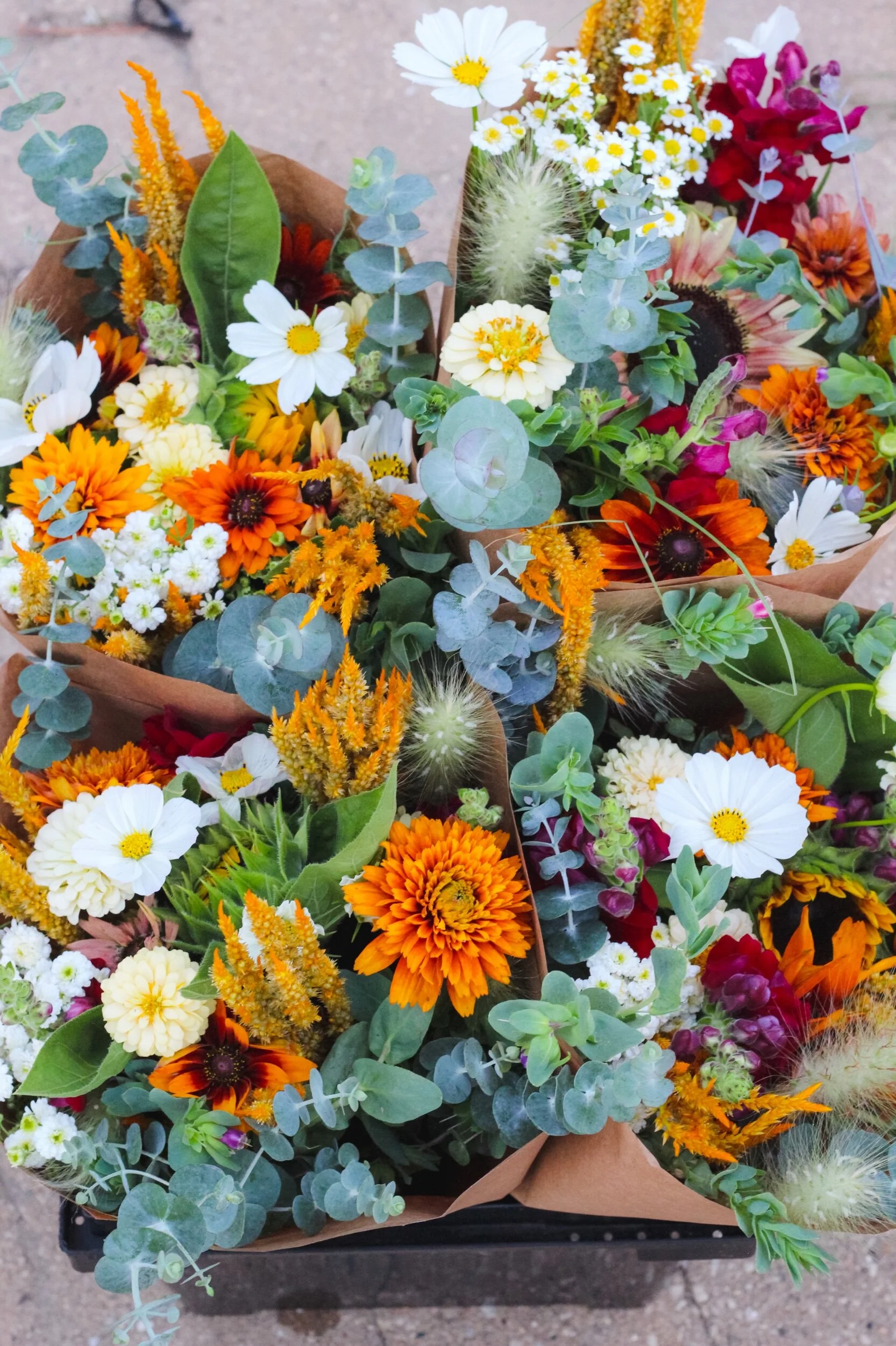 CF2B53B5-1444-48DB-BCC6-0C1954102B94