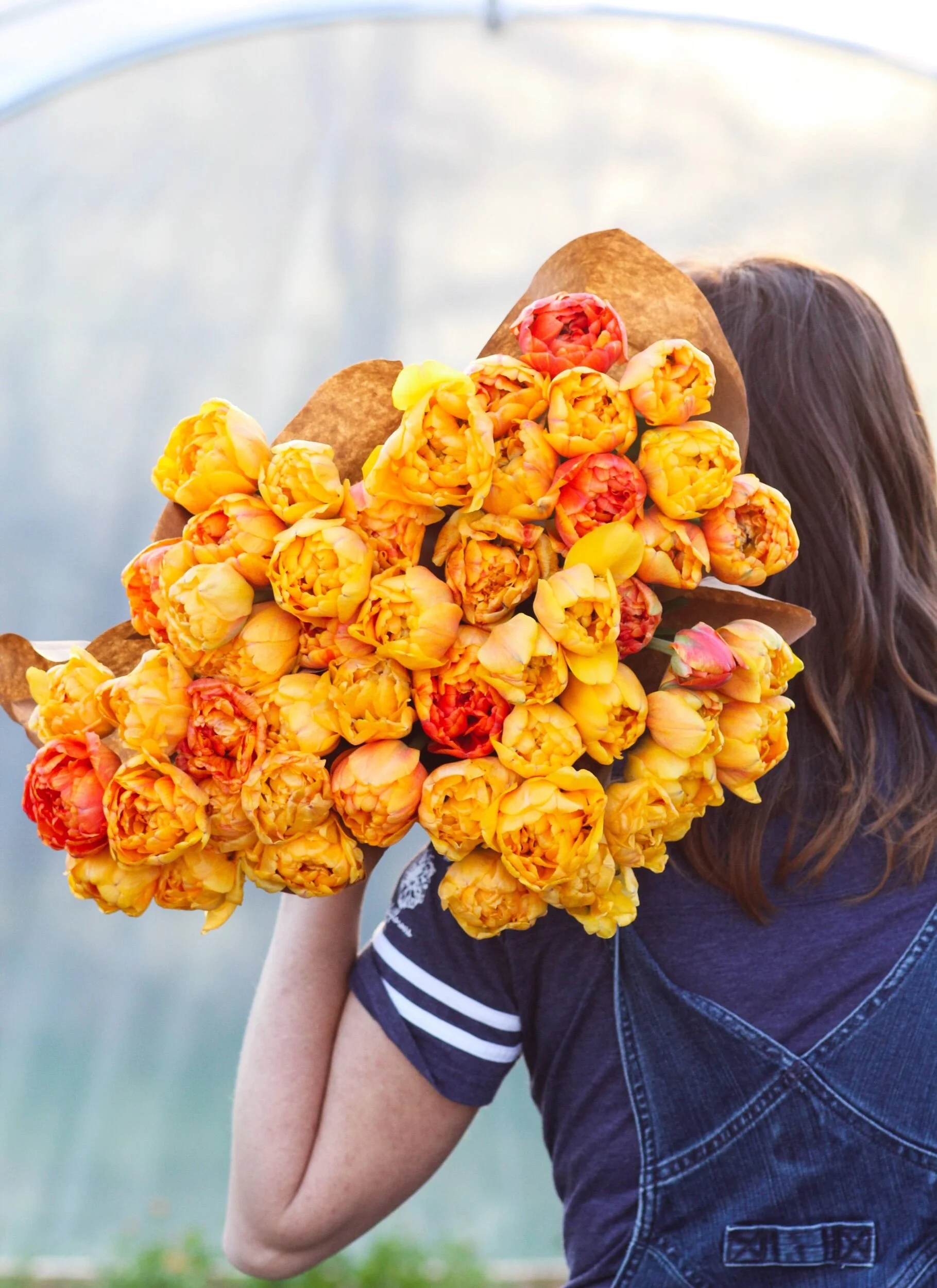 C8E1E60A-FD76-4C42-A053-790F26300BC0