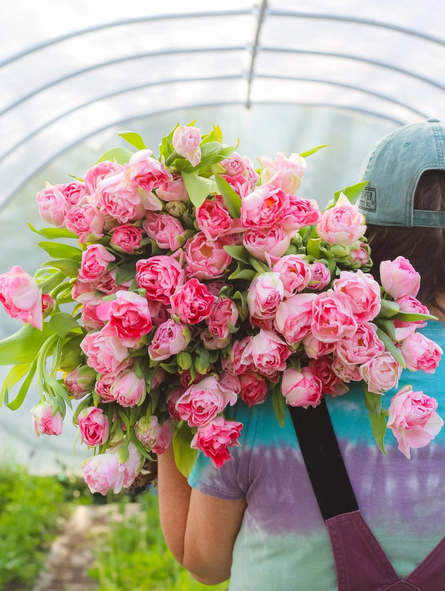 321F3477-9FA9-4682-950F-C47201CA771D