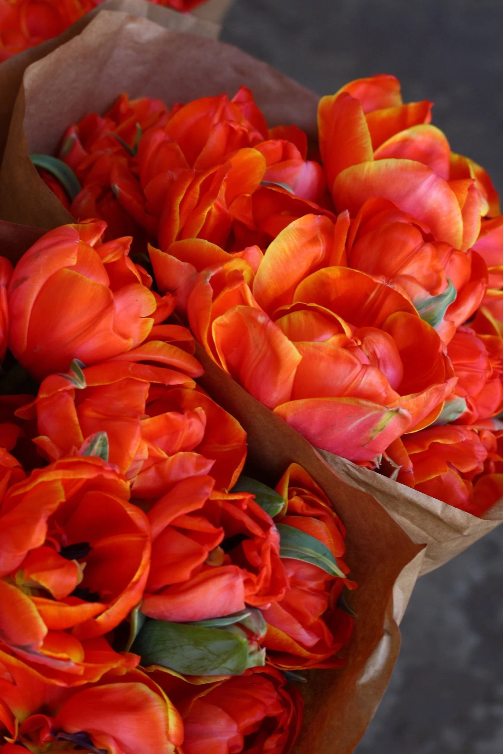 C3AE0E5E-2BF3-47E8-B4EB-1D7A34E60B55