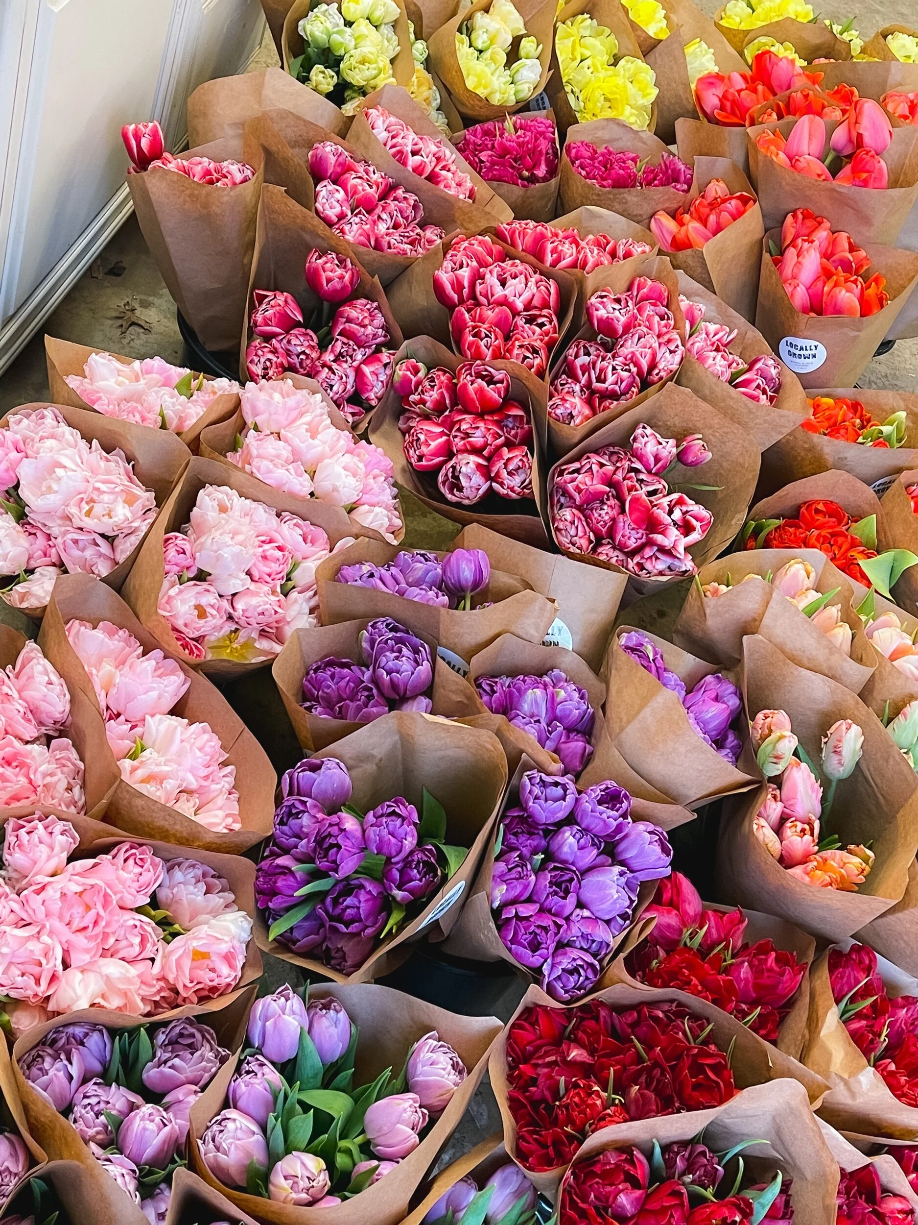 98665AB3-8B61-45B4-B9CB-B59B9F6BF027