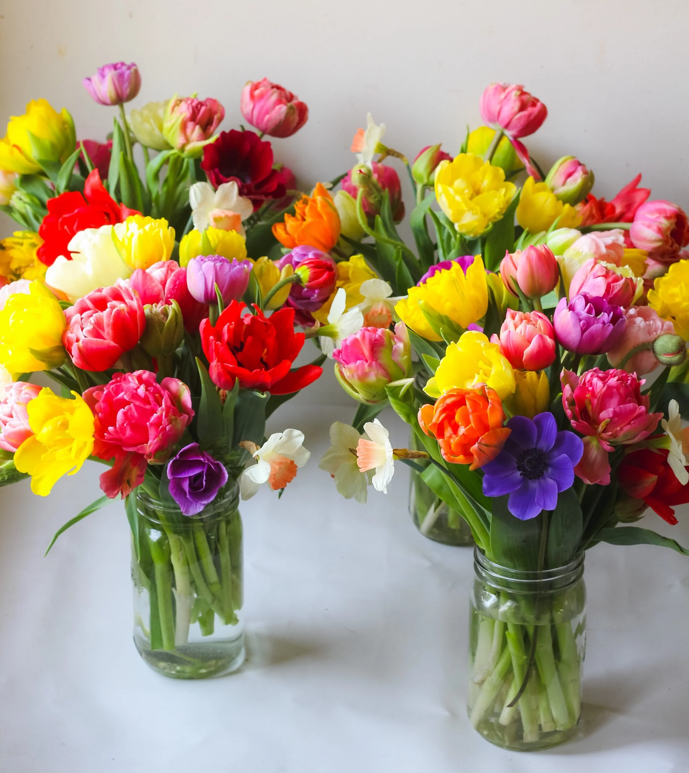 49EC2A63-298E-42BB-A168-0AD87AB77220