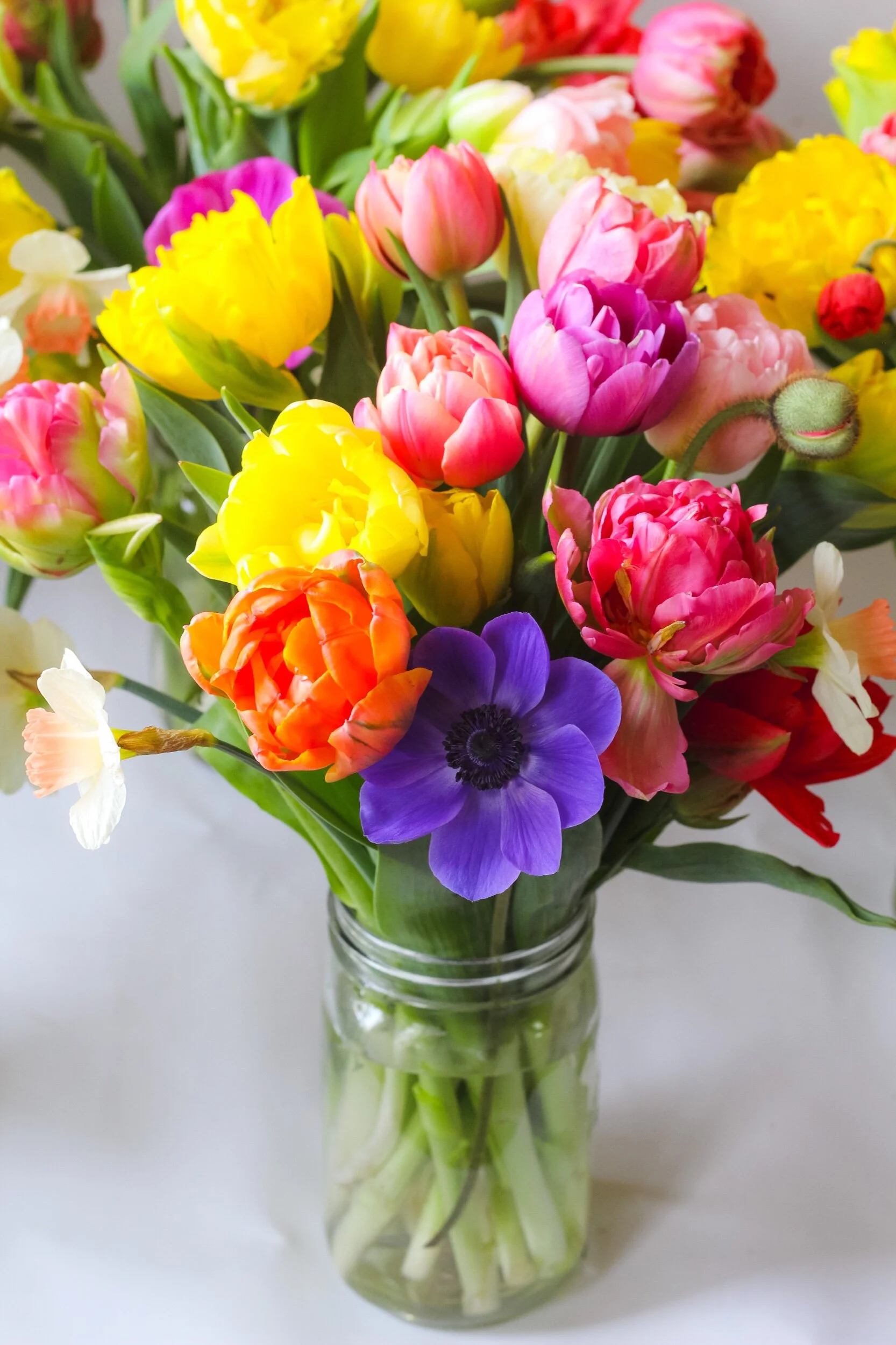 0023E527-3C69-45C6-9D0D-A342C674A940