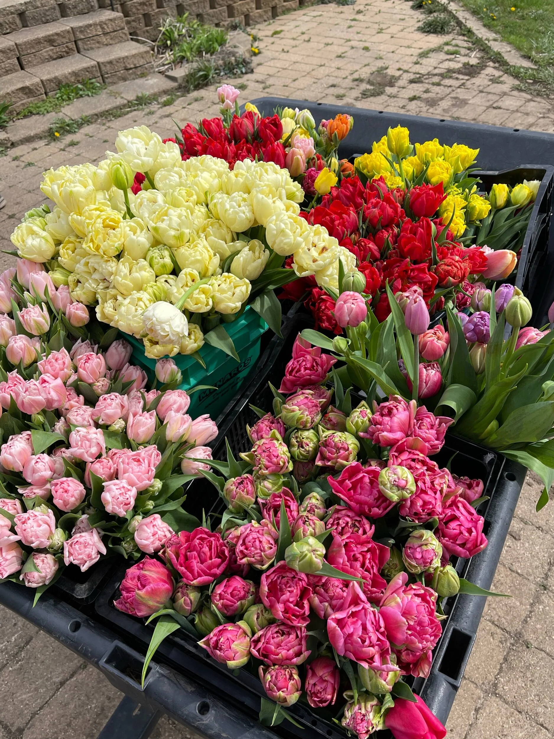 CD1568FD-784E-4F82-AFD8-6A79CE882C19