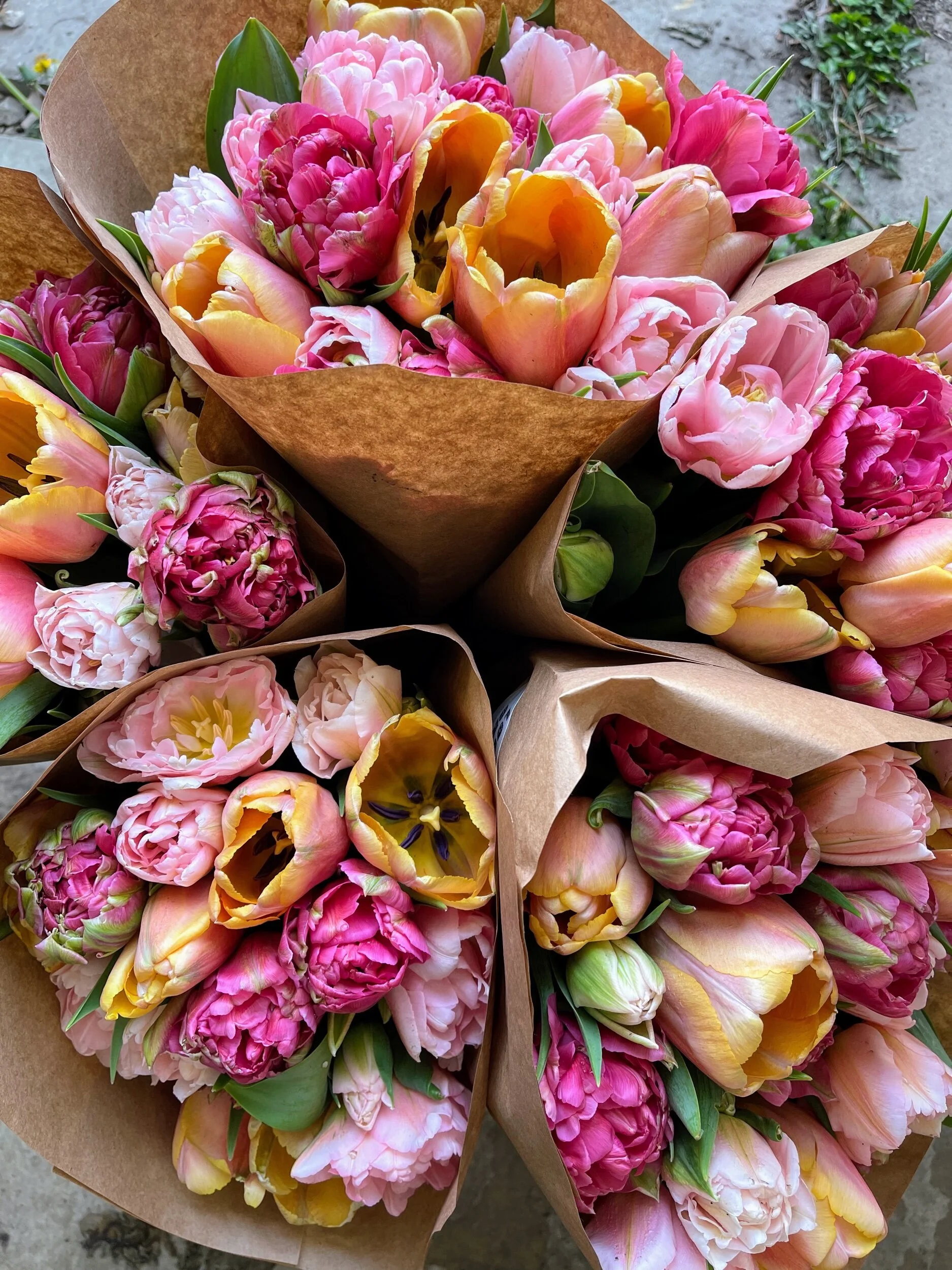 35764550-12C6-44B3-8358-EF960F9BE2C6