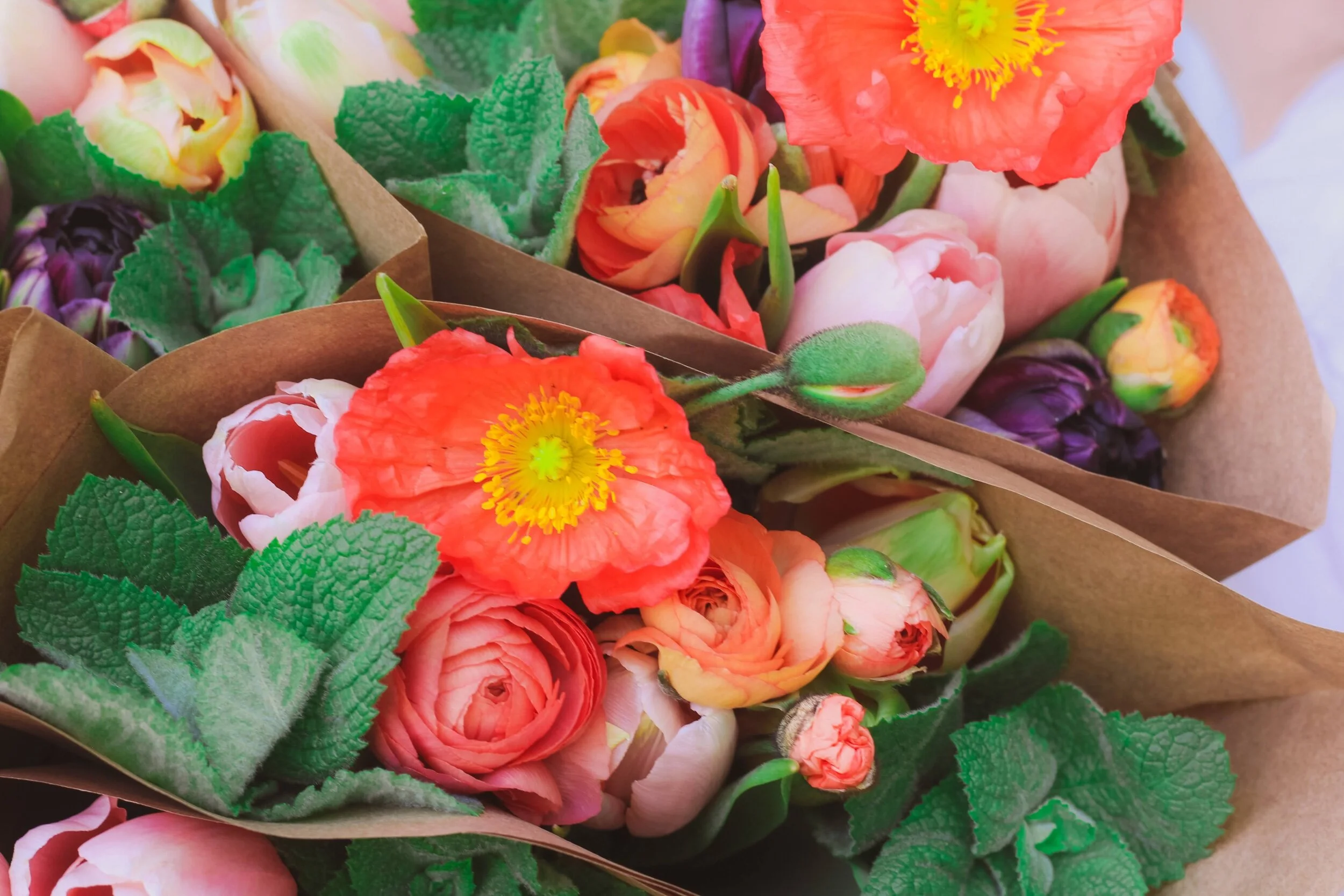 312F3DE8-916D-45F1-9813-58ECA2C3622A