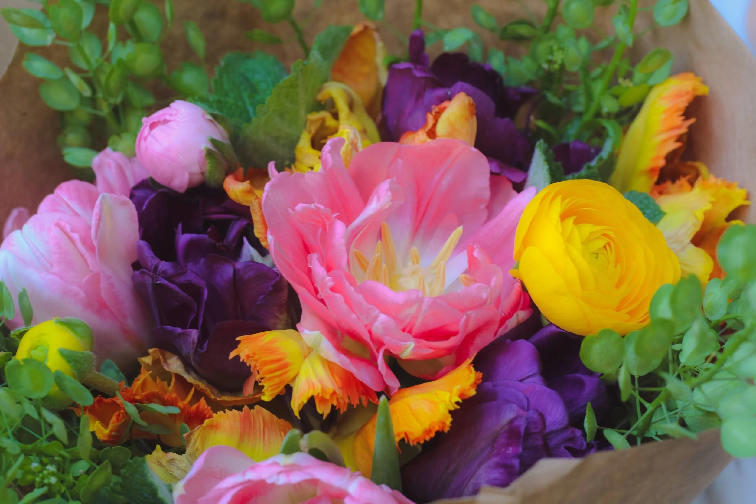 6A8CA9E6-8D26-4A8B-94FE-7C7EE64ED788