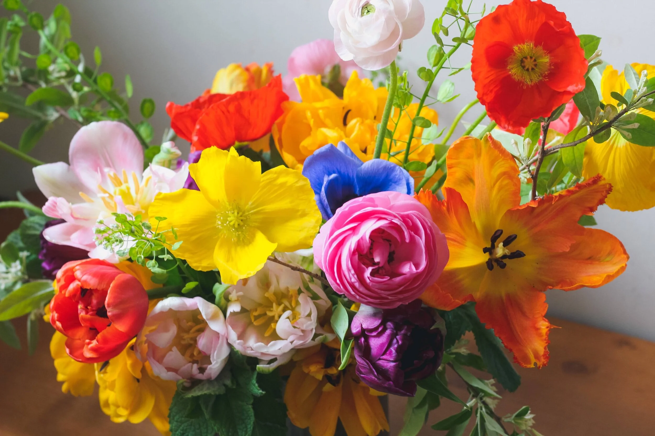 41684763-A1F9-4A12-83AB-4AF97DEBBFD9