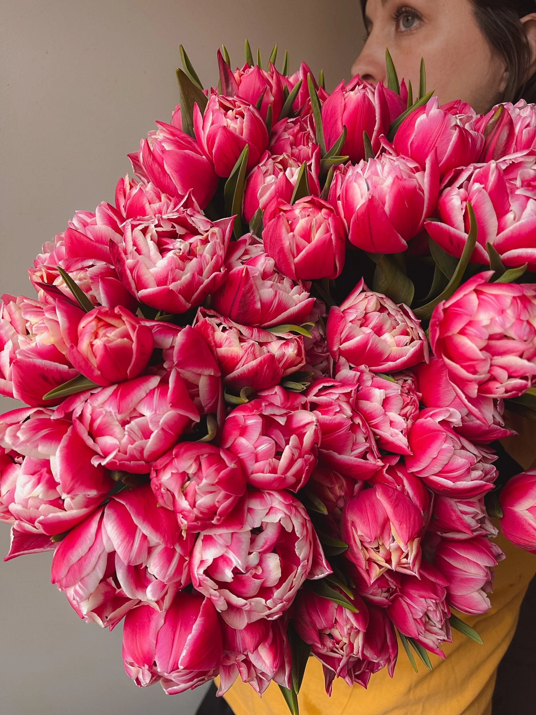 646938D1-E635-4583-8615-8E74C28449B1