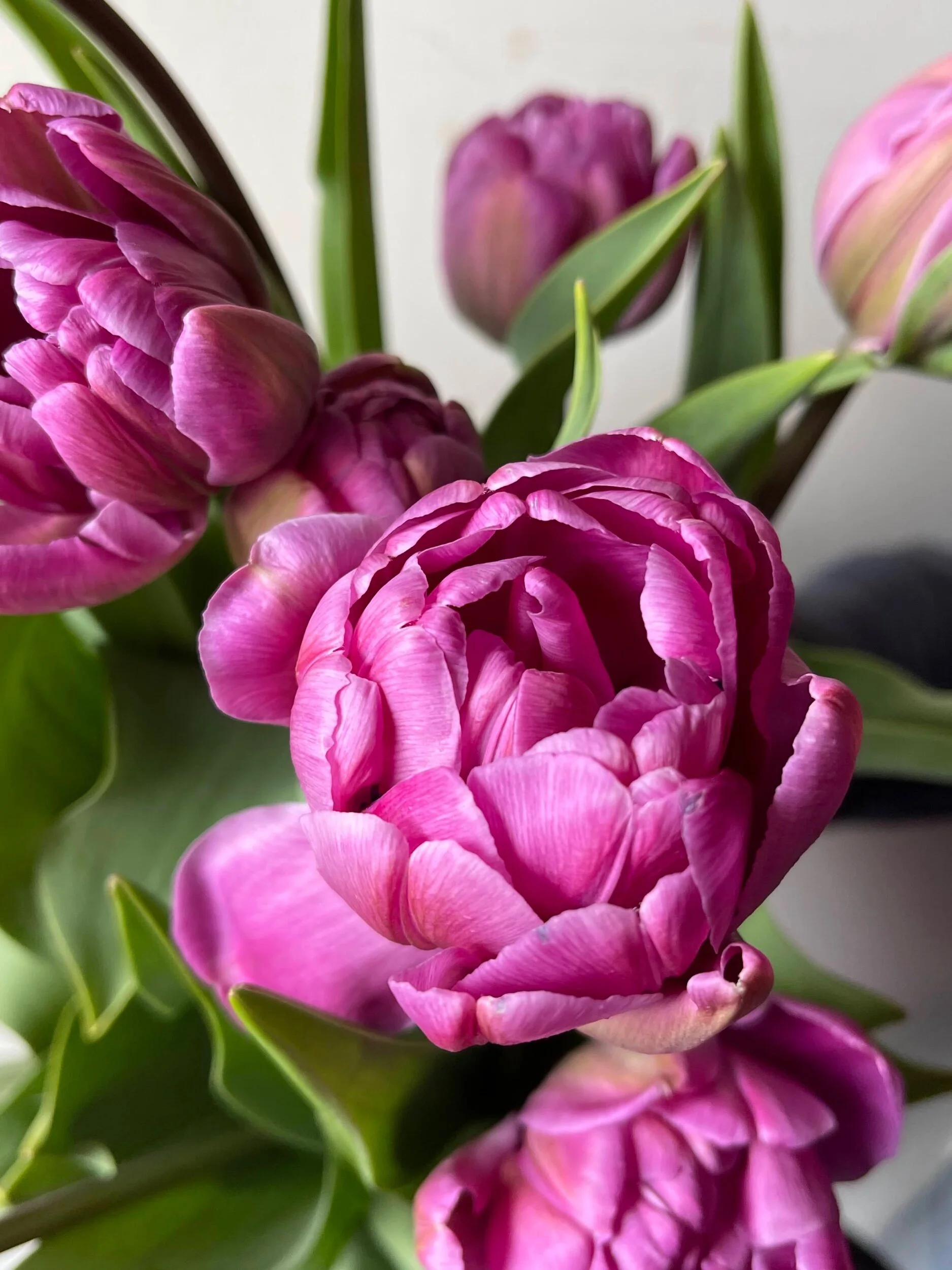 03E6D31F-5DD5-48F8-83C0-AFCC75BB8A70