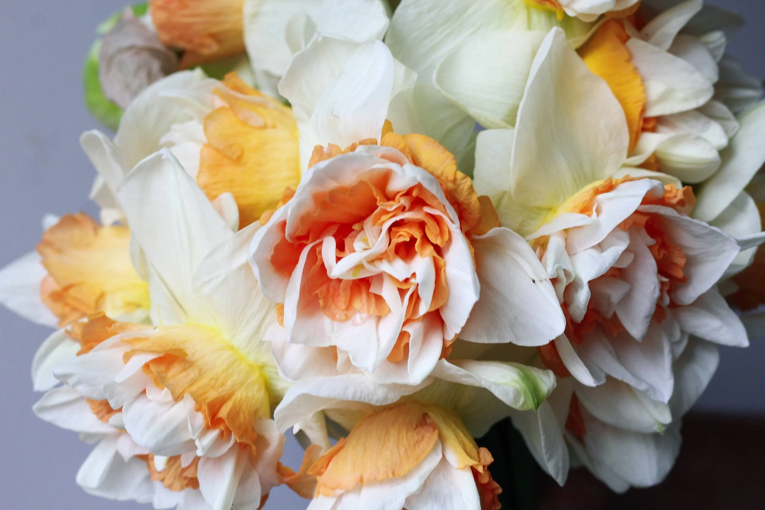 DB724727-18D9-475D-95BE-1487306BDD6E