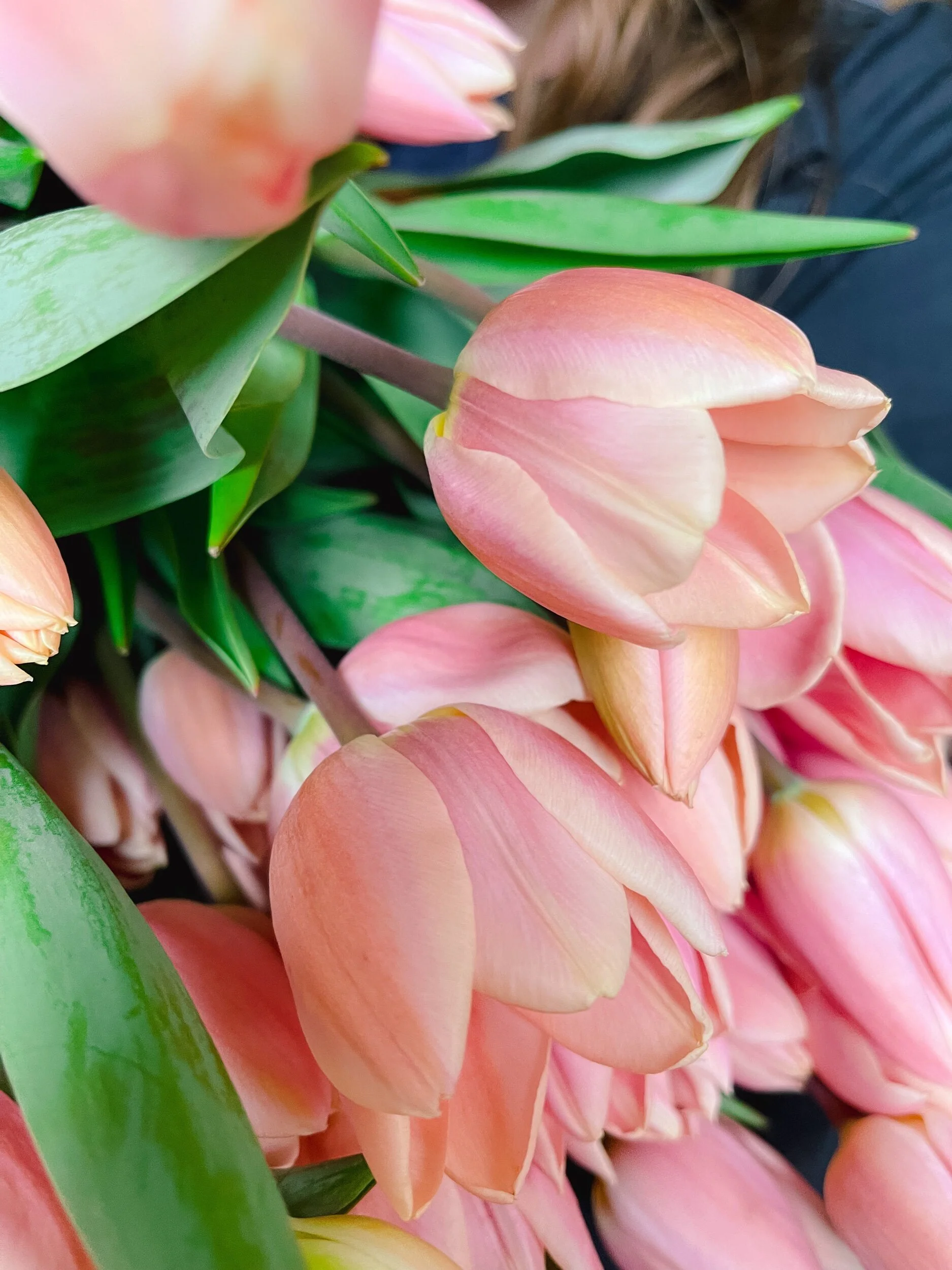 24A905DE-248C-44DB-8300-3FAA9806EEEC