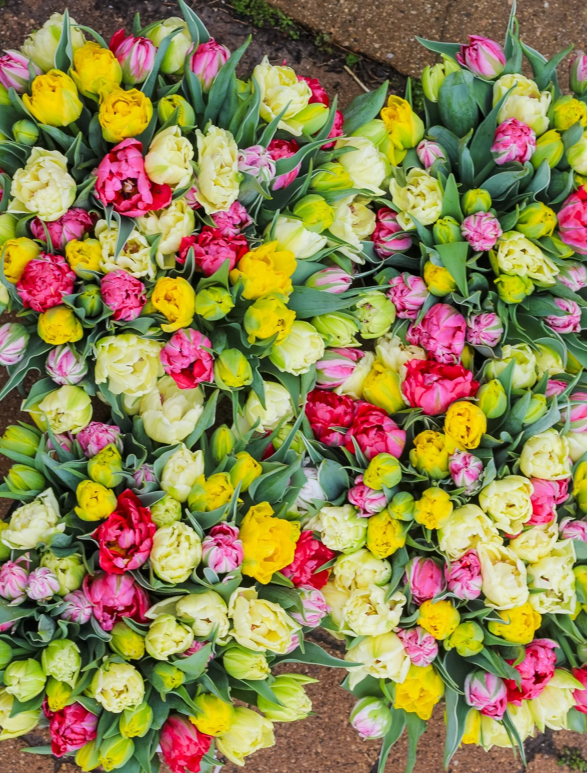 7002BA4D-80B2-4E20-85A2-C98066BA5F92