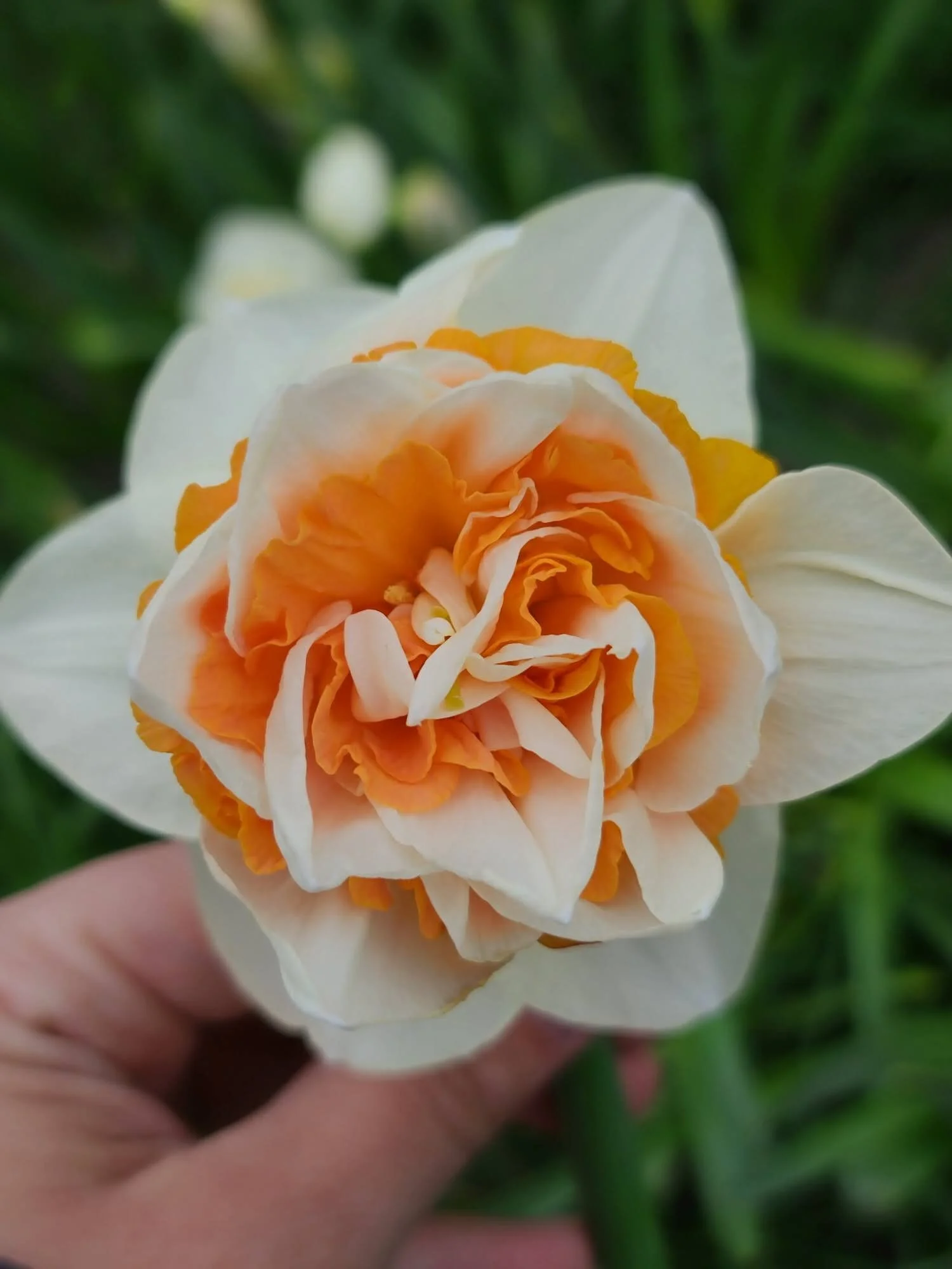 055A9BDB-06F8-4CC7-B517-510832F6F508