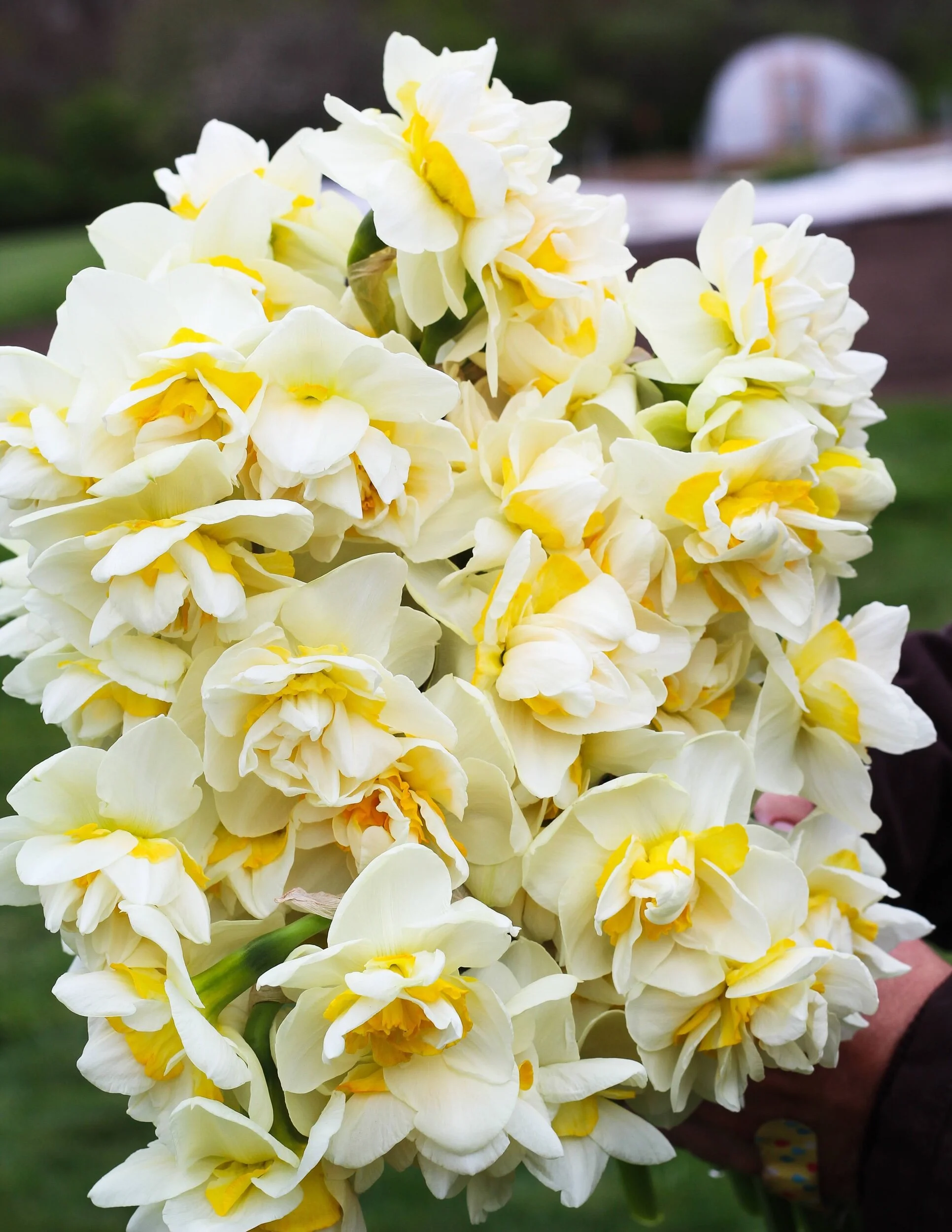 19004A8F-0775-4A47-B4F8-96066584BD9B