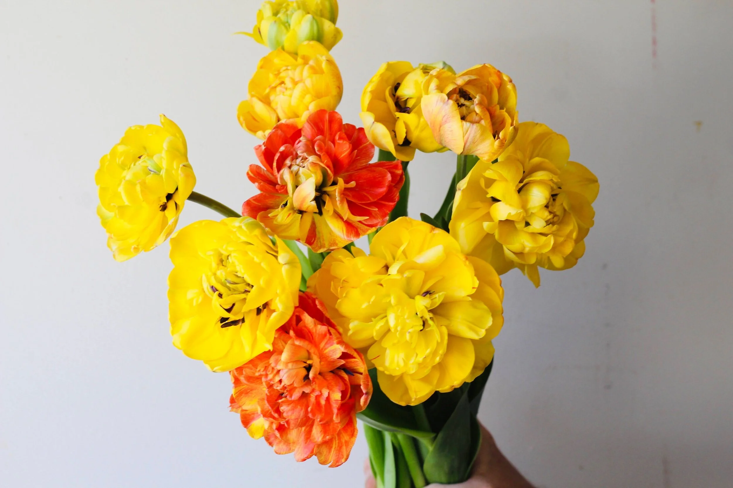 A544D5A3-68B0-47FB-BA75-EB1210A0769F