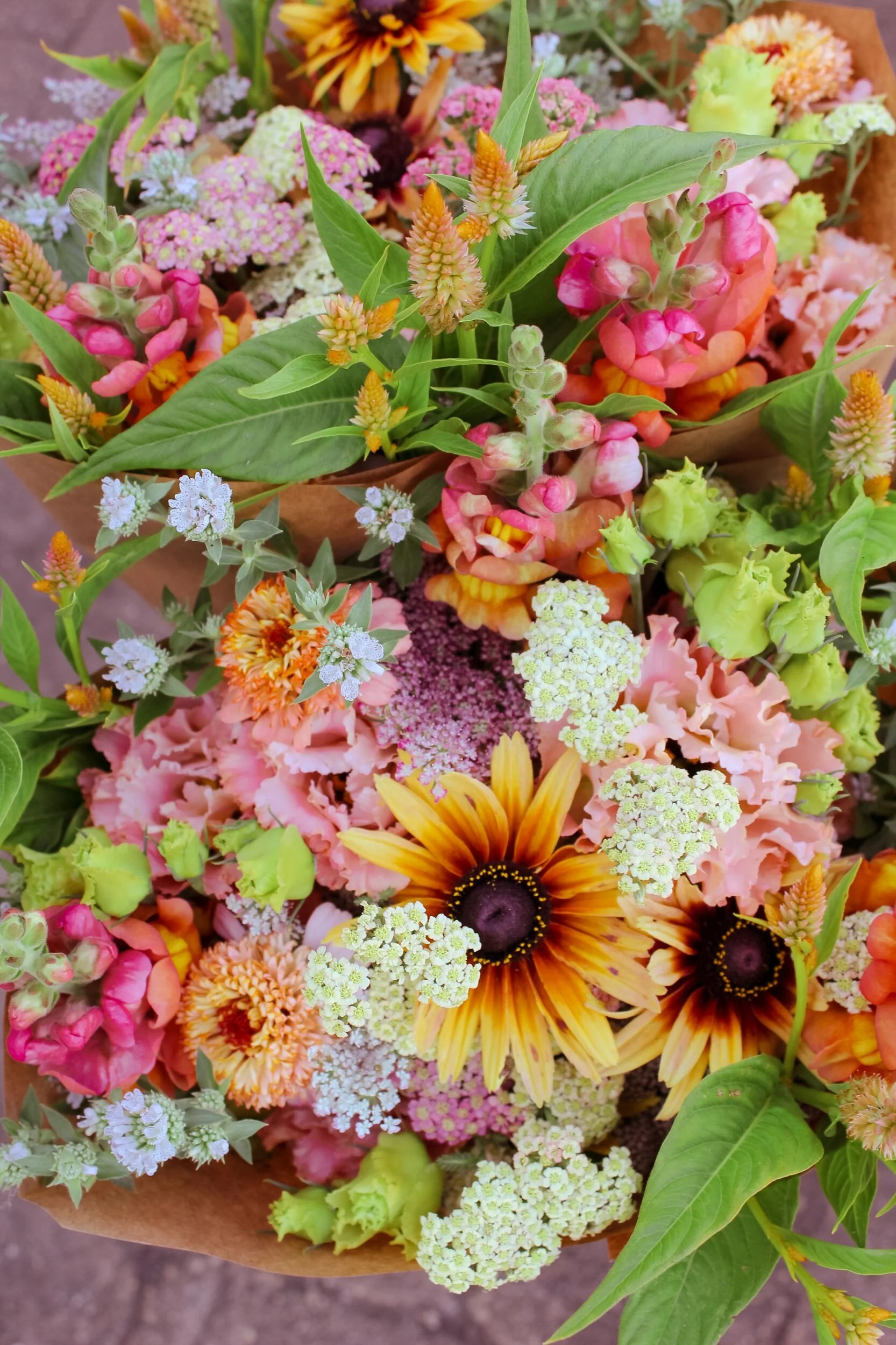 ABADC336-EE27-4FD8-B72A-1C015CA968F4