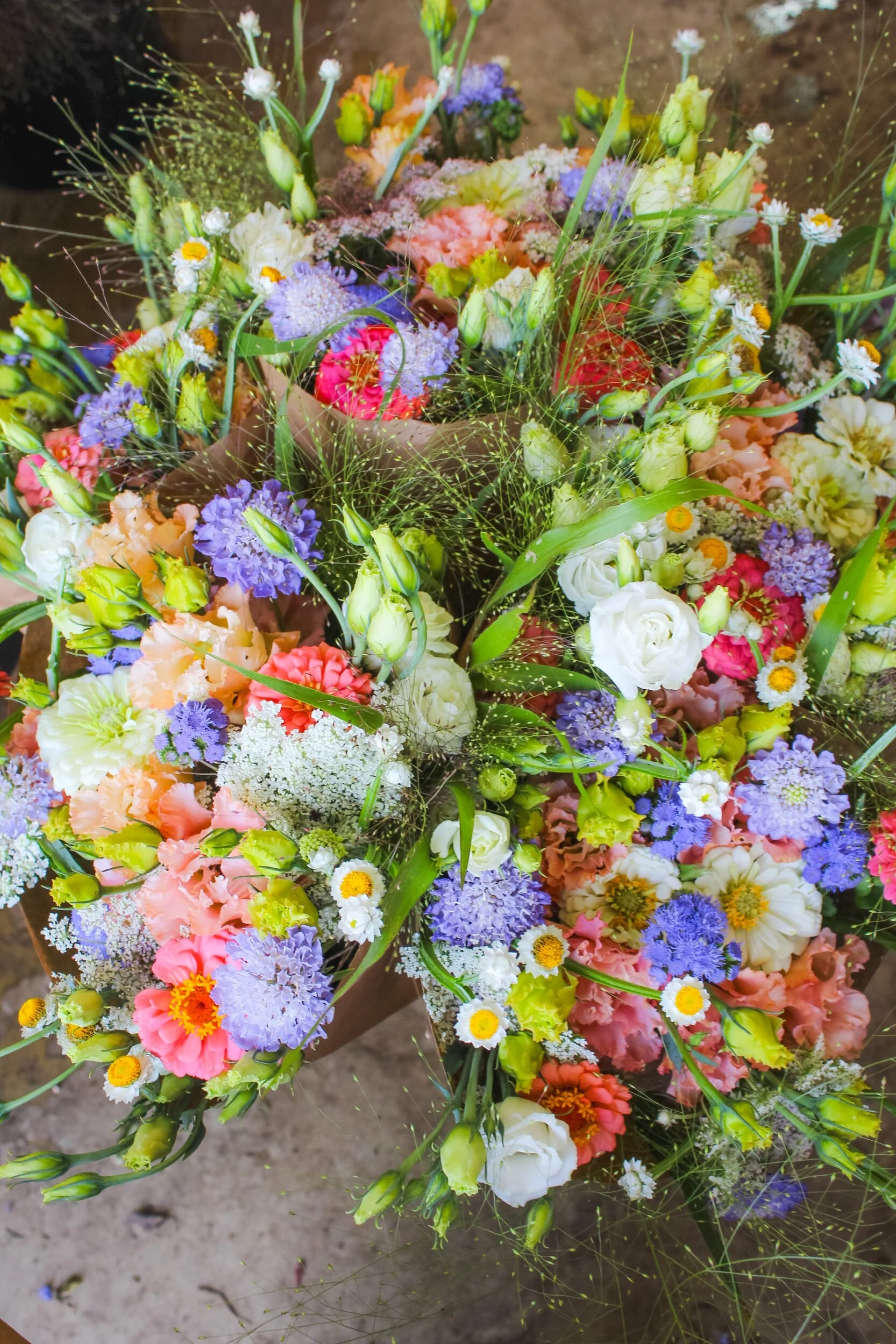 AEDBD5D9-DC9D-493B-87B8-15A10319FCDC