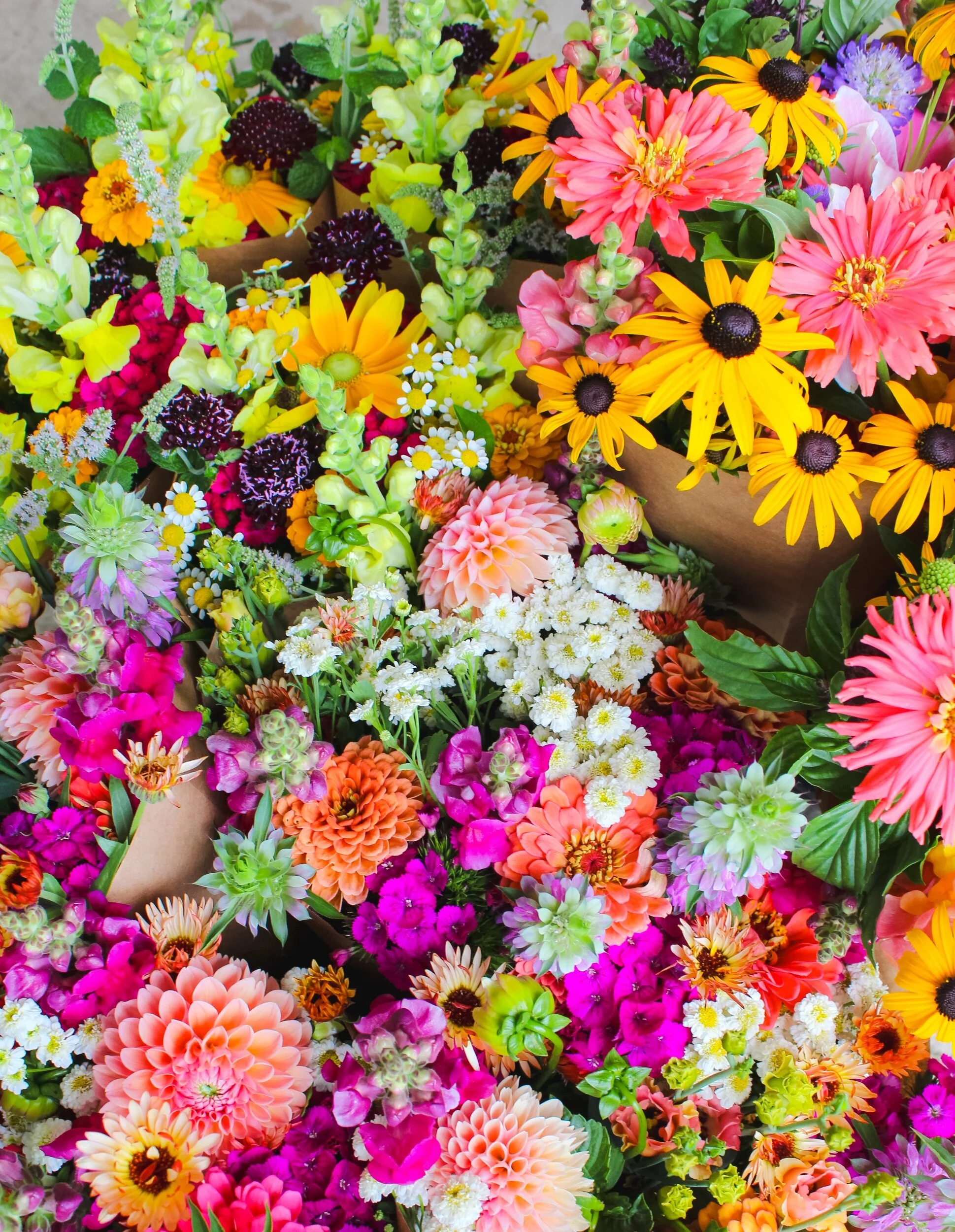 4F436513-80A0-4A6F-8583-7828684C8D75