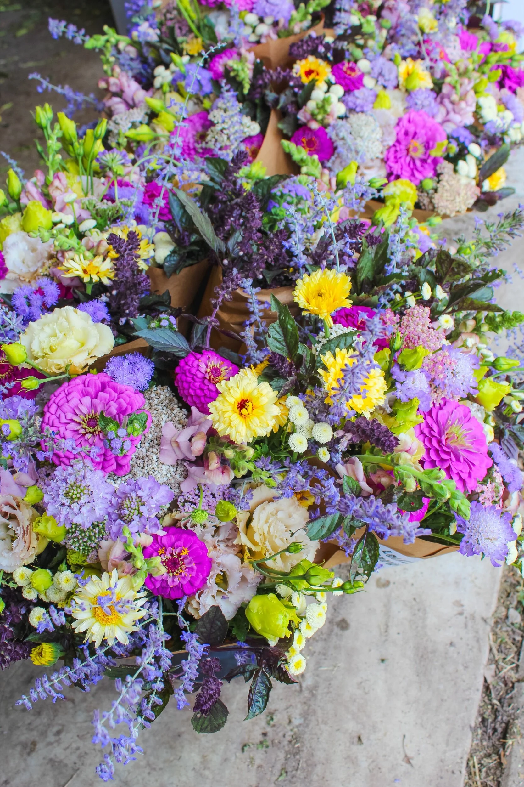 E0BCB581-4804-4792-961F-EF7992712B3E