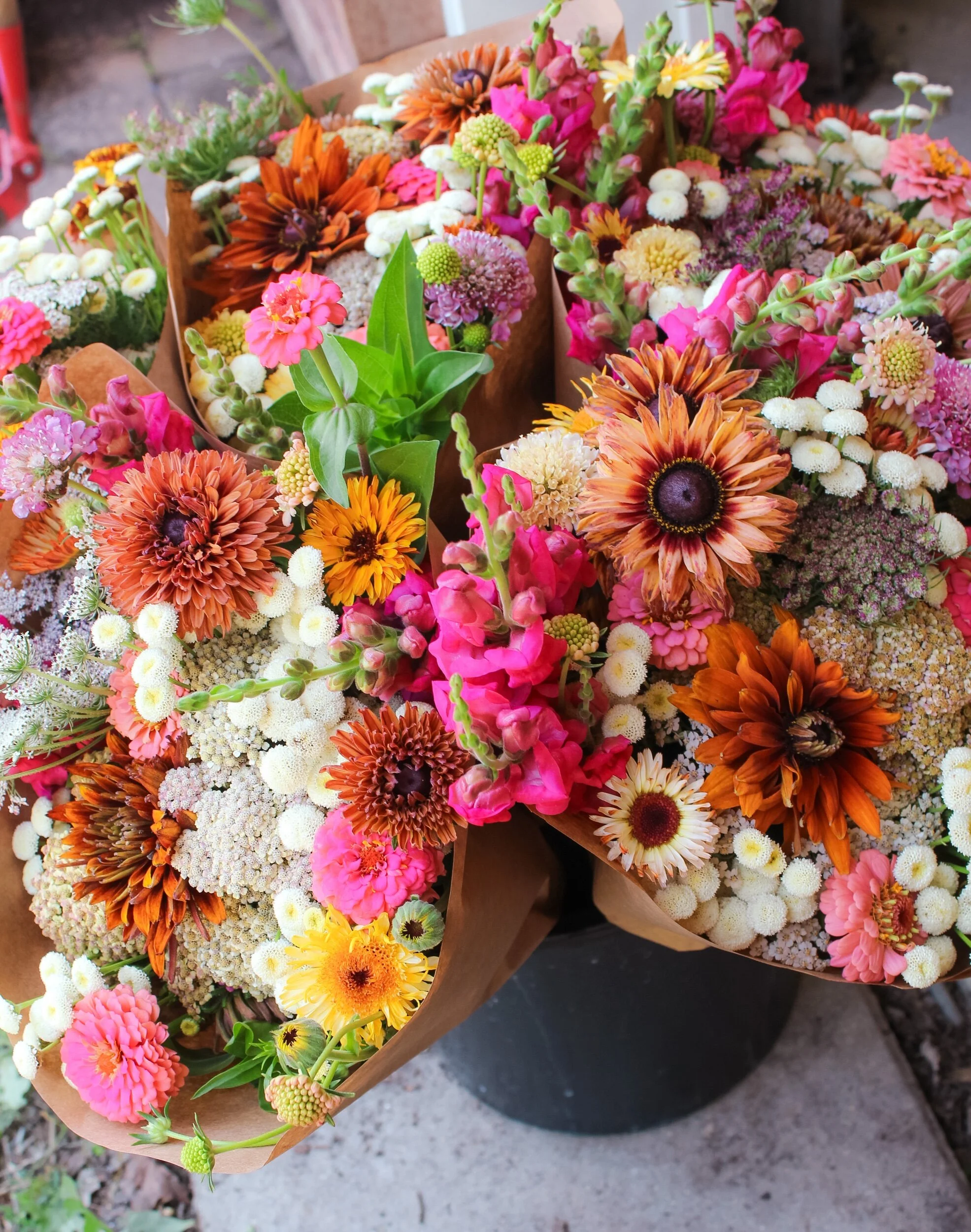 F68A2C8D-C6E4-48A5-80F6-BA44998D63FD