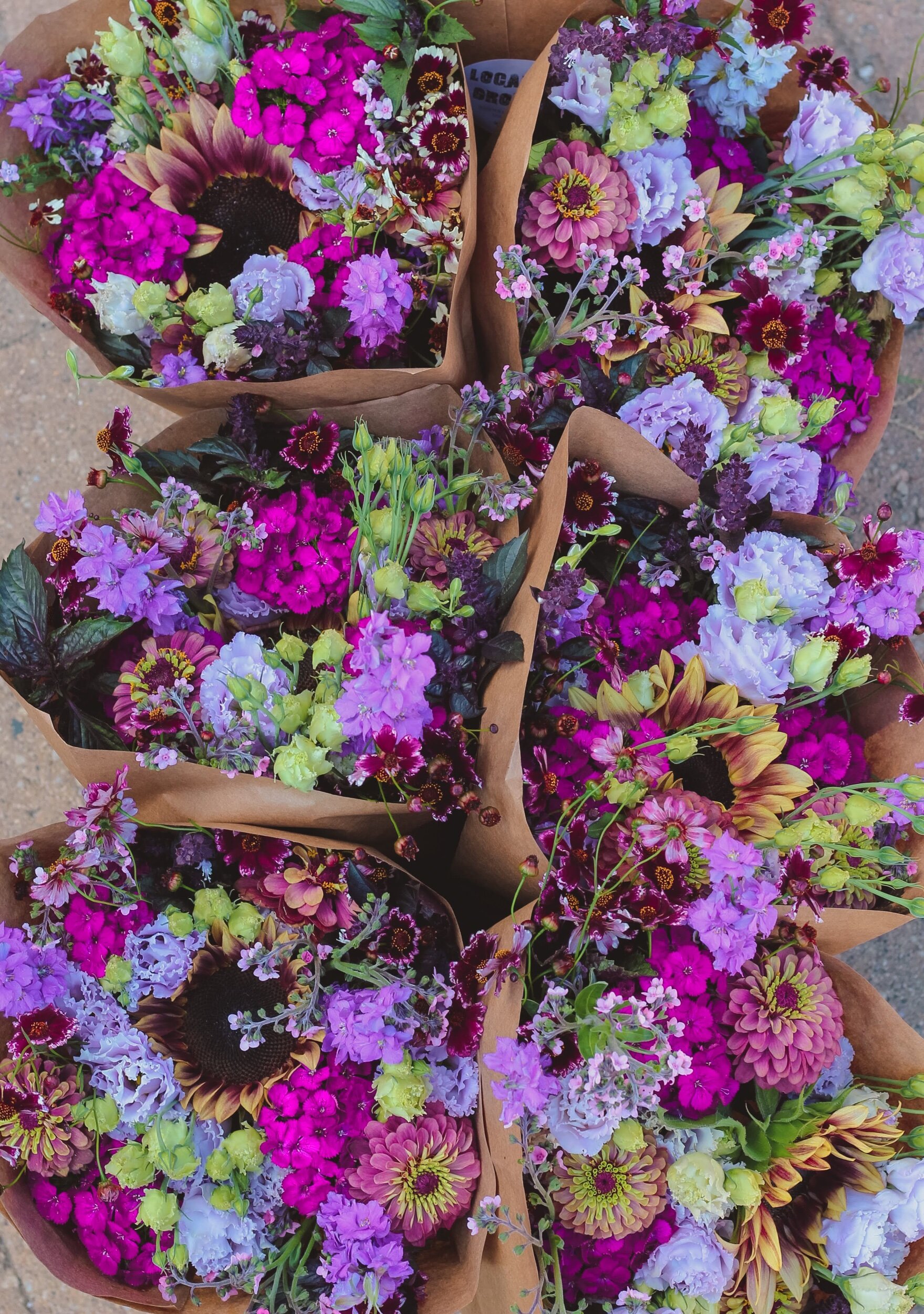 DFC96E0D-6A79-48BE-9CE9-92F472B8B4A8