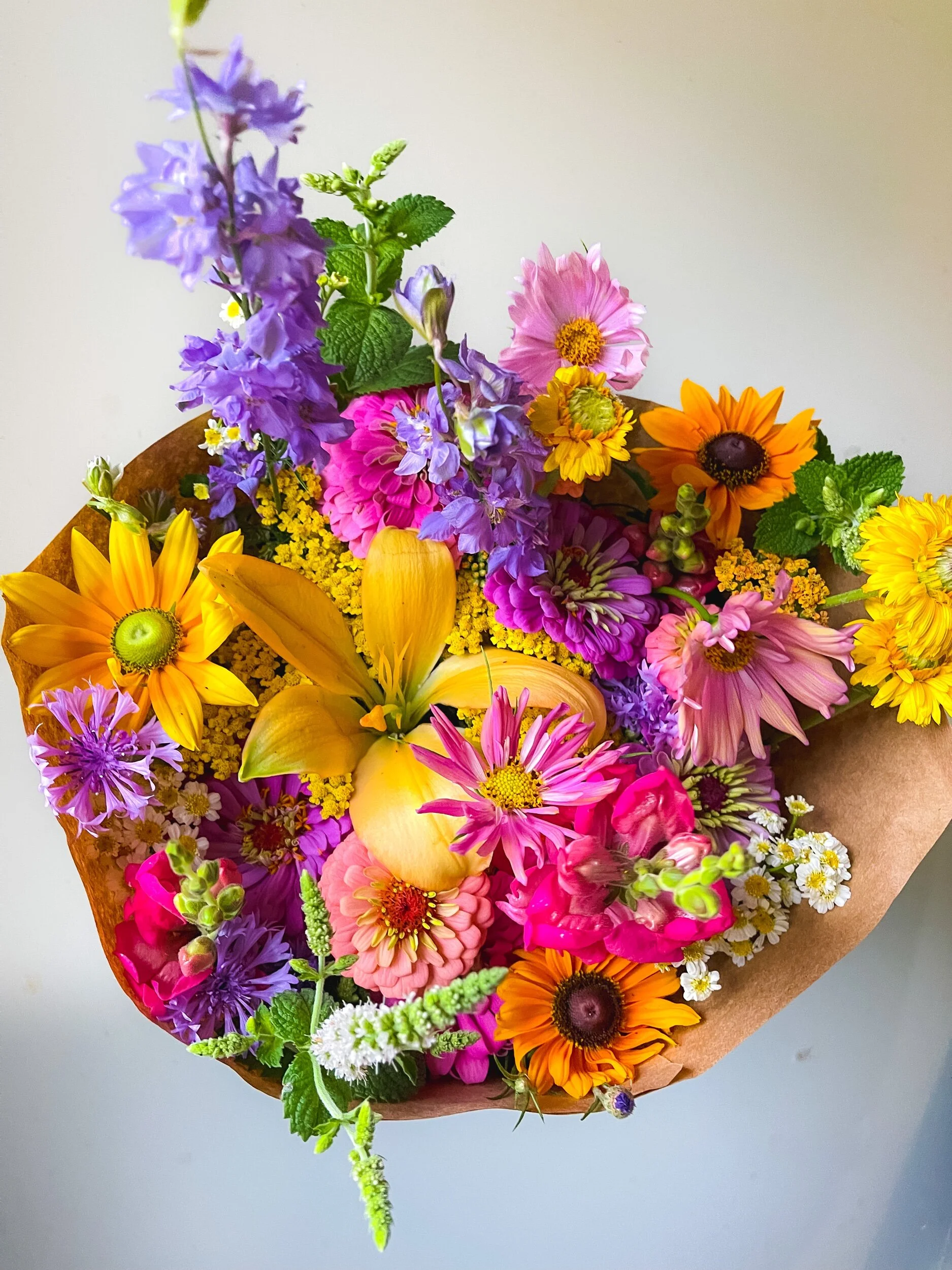 073B5F46-52DA-4207-9051-1B196FD9491E