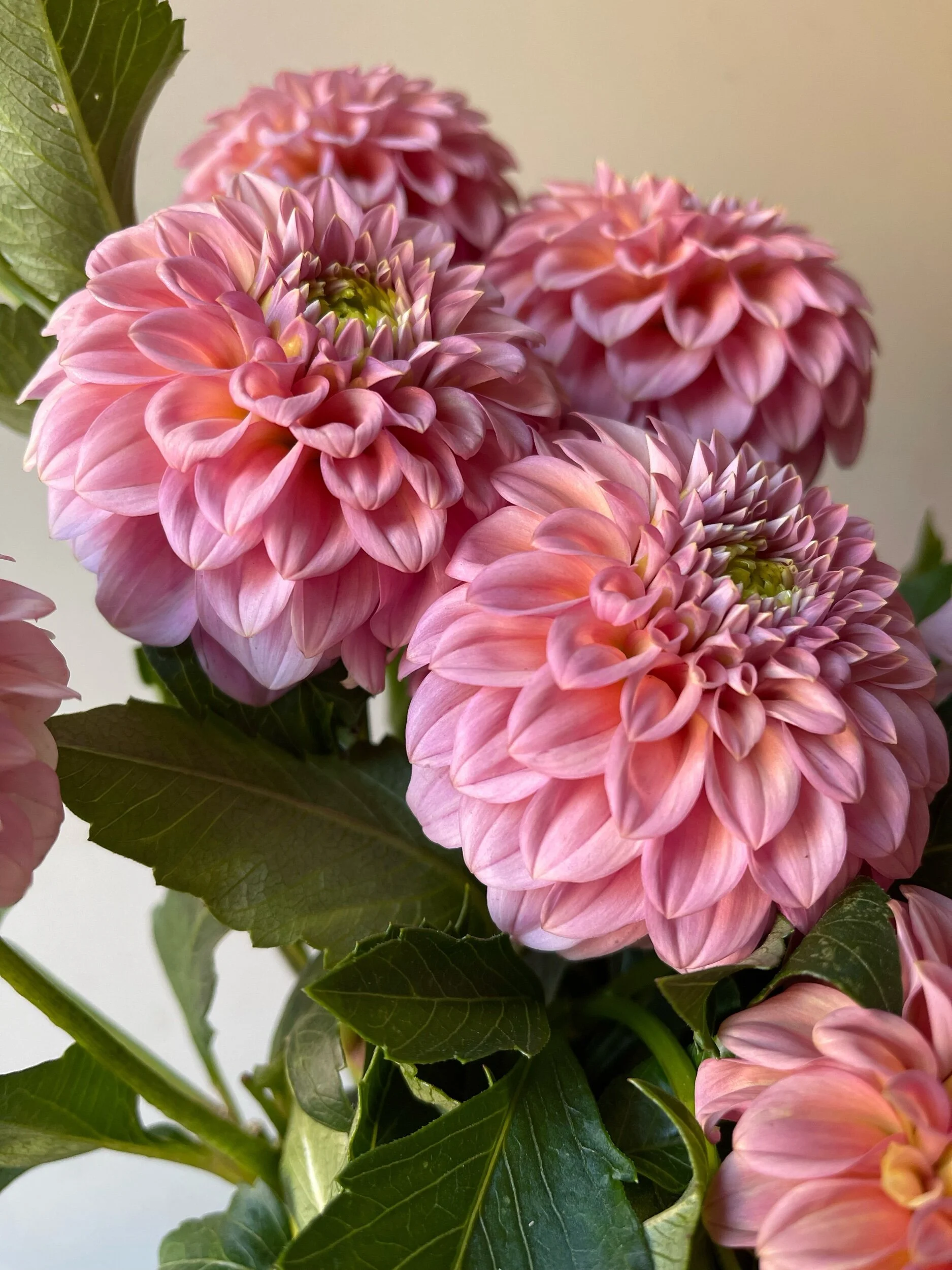 947DA1A6-86F2-4295-B105-82D8EB16865F