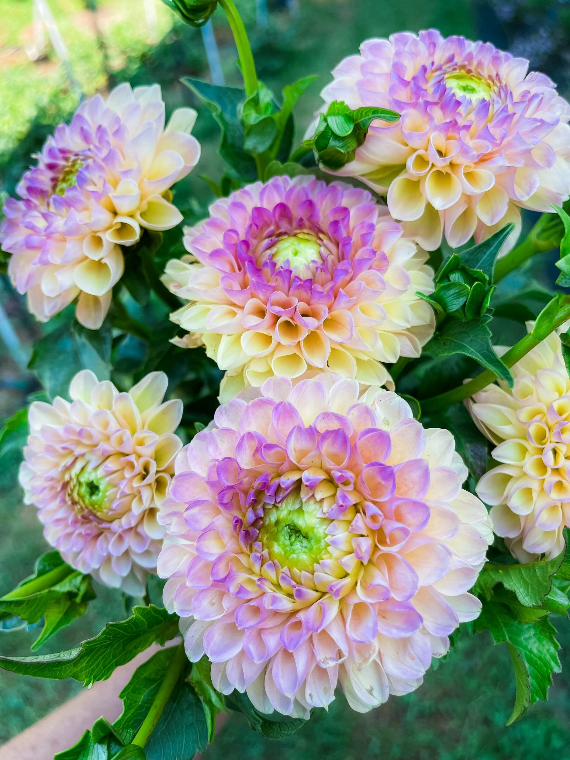 779FCC03-522D-4553-8CC4-4061A2132064