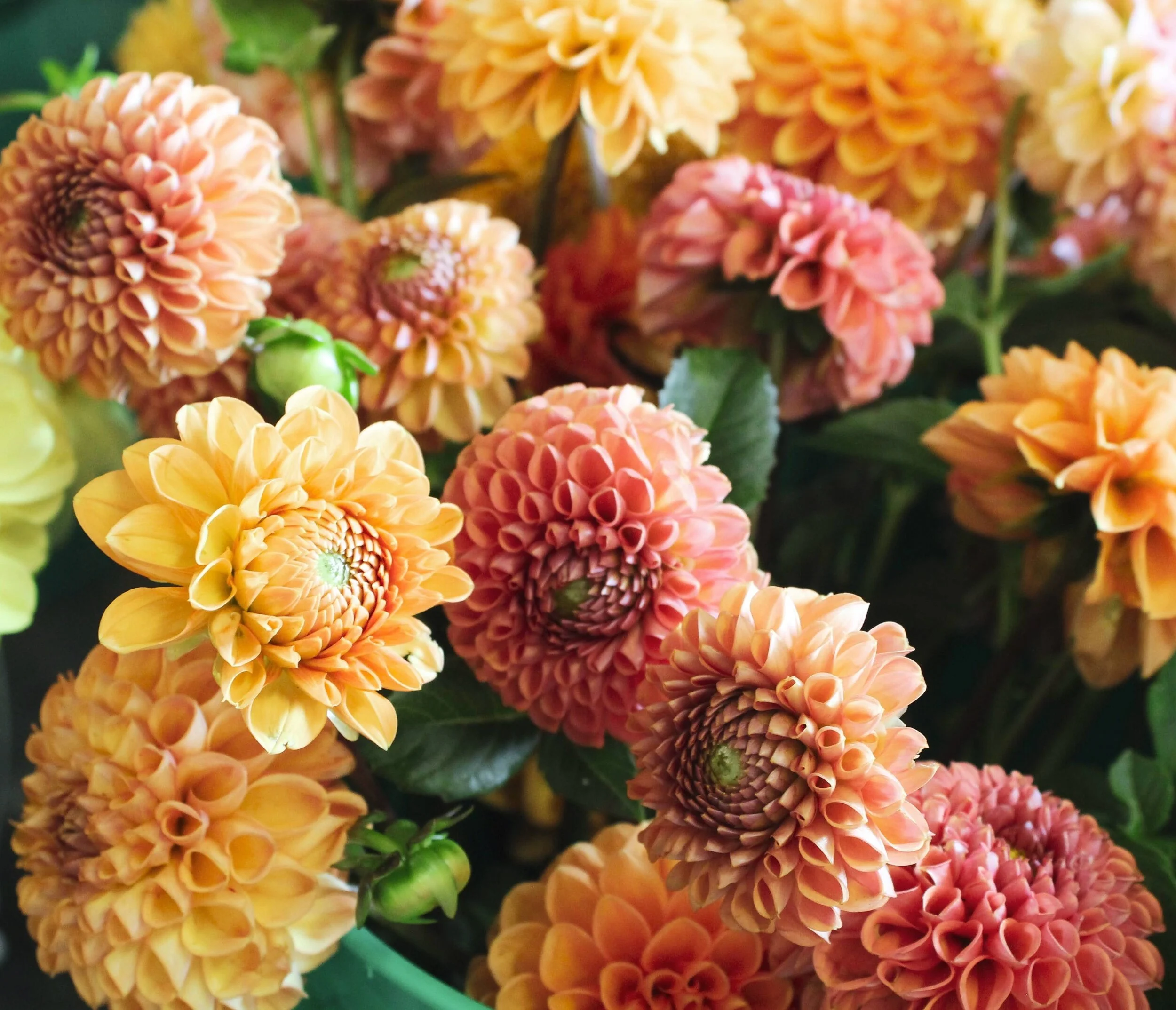 C896D483-BD09-4F67-948A-B212471F7B51