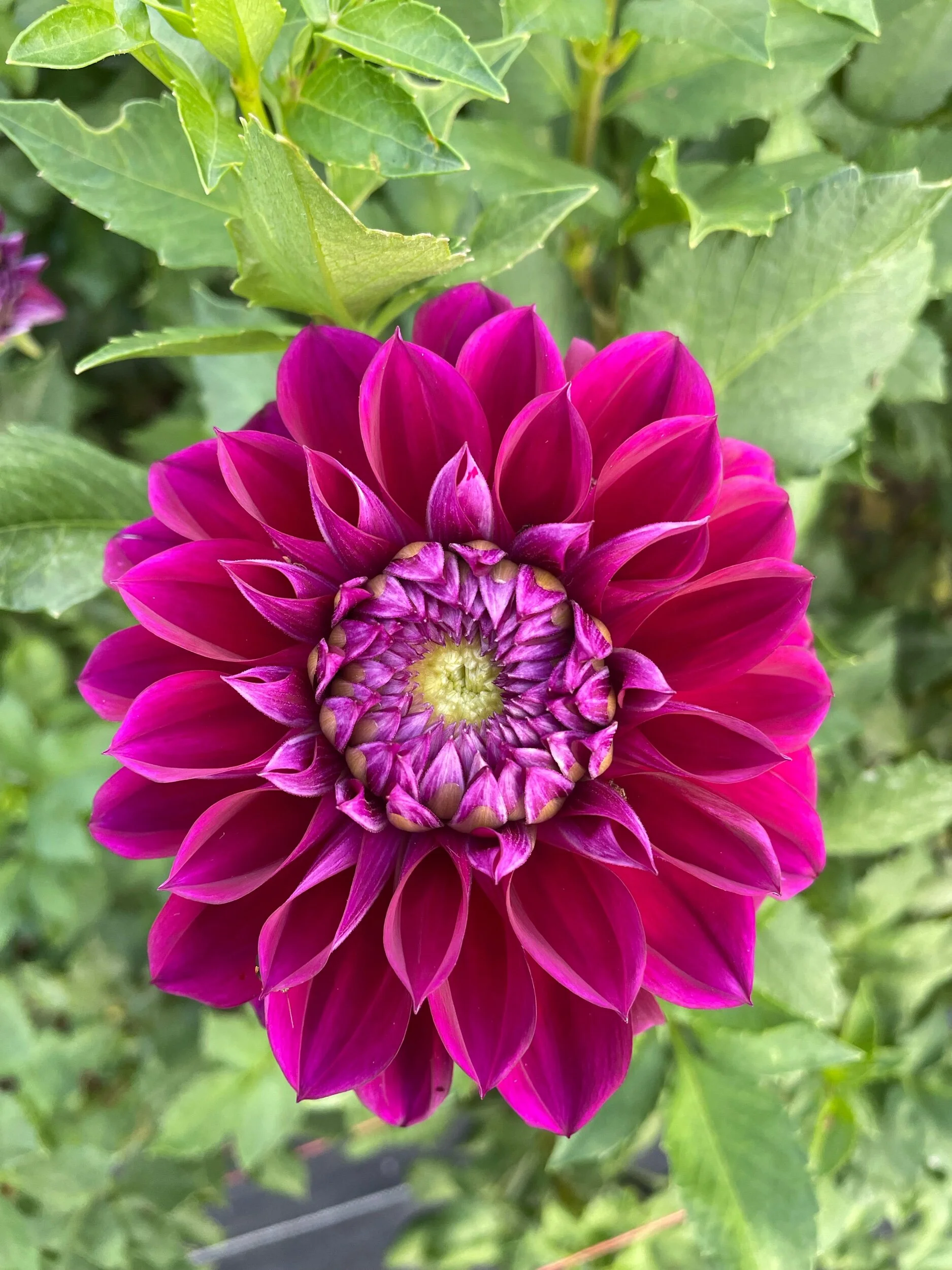 9753E04D-8D11-4007-9D30-B5B5E861D4A8