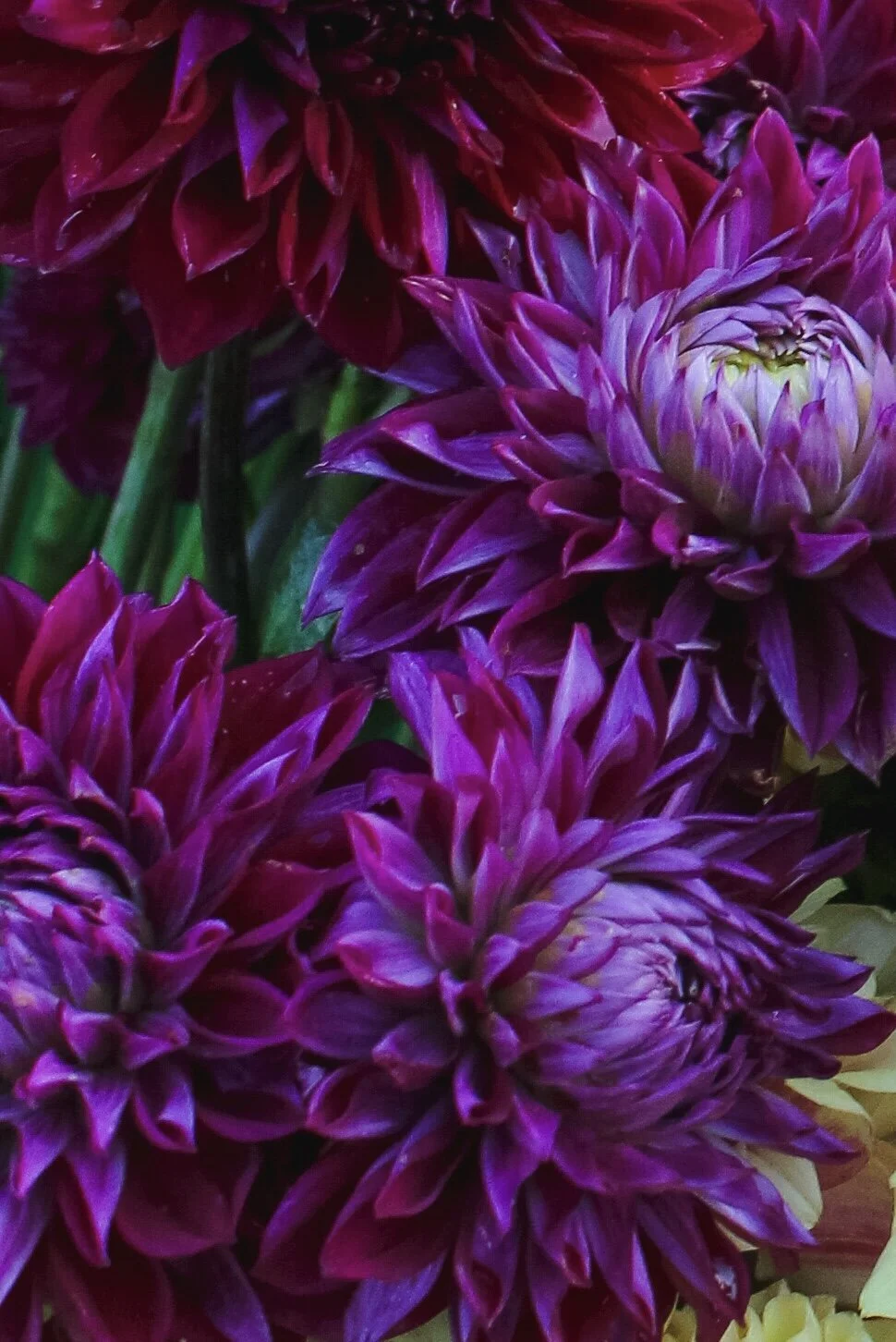 6C010786-9CD2-4607-BC3D-2246BB8B59B6