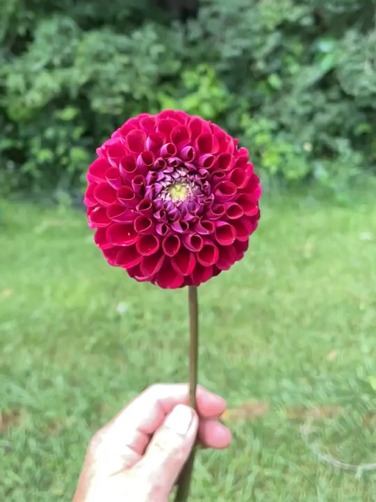 BA0CCBBC-ACEA-4FEF-A895-E34ACFD0F4E4