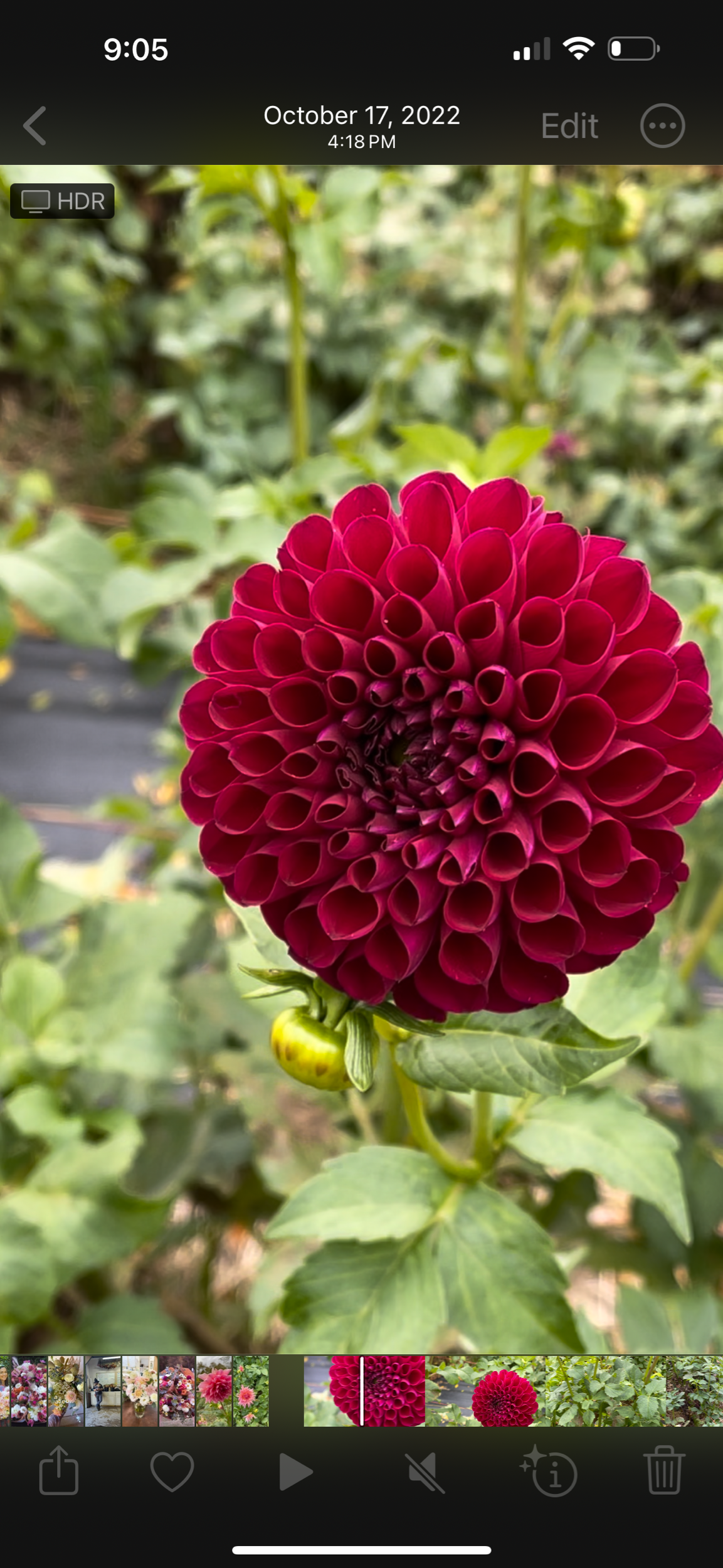 216C1039-63A9-4DF0-AE1A-E15D7754BC80