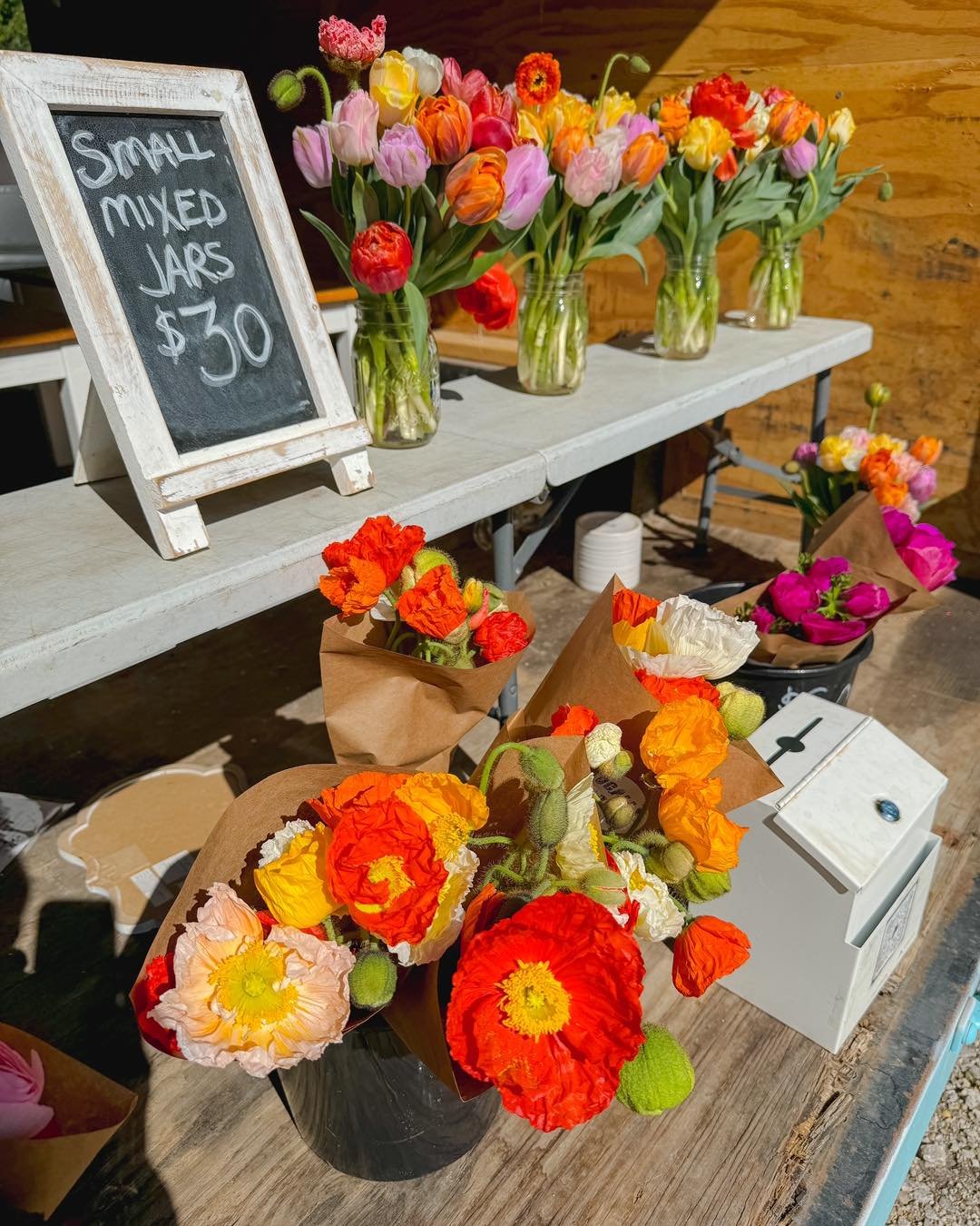 🌷FARM STAND IS OPEN TODAY! (SUNDAY)🌷

We have the farm stand open again today (Sunday, the 21st) from 10am-2pm! We have mixed jars, Icelandic poppy bunches, anemone bunches, and some purple tulip bunches! (There&rsquo;s even a ranunculus bunch left