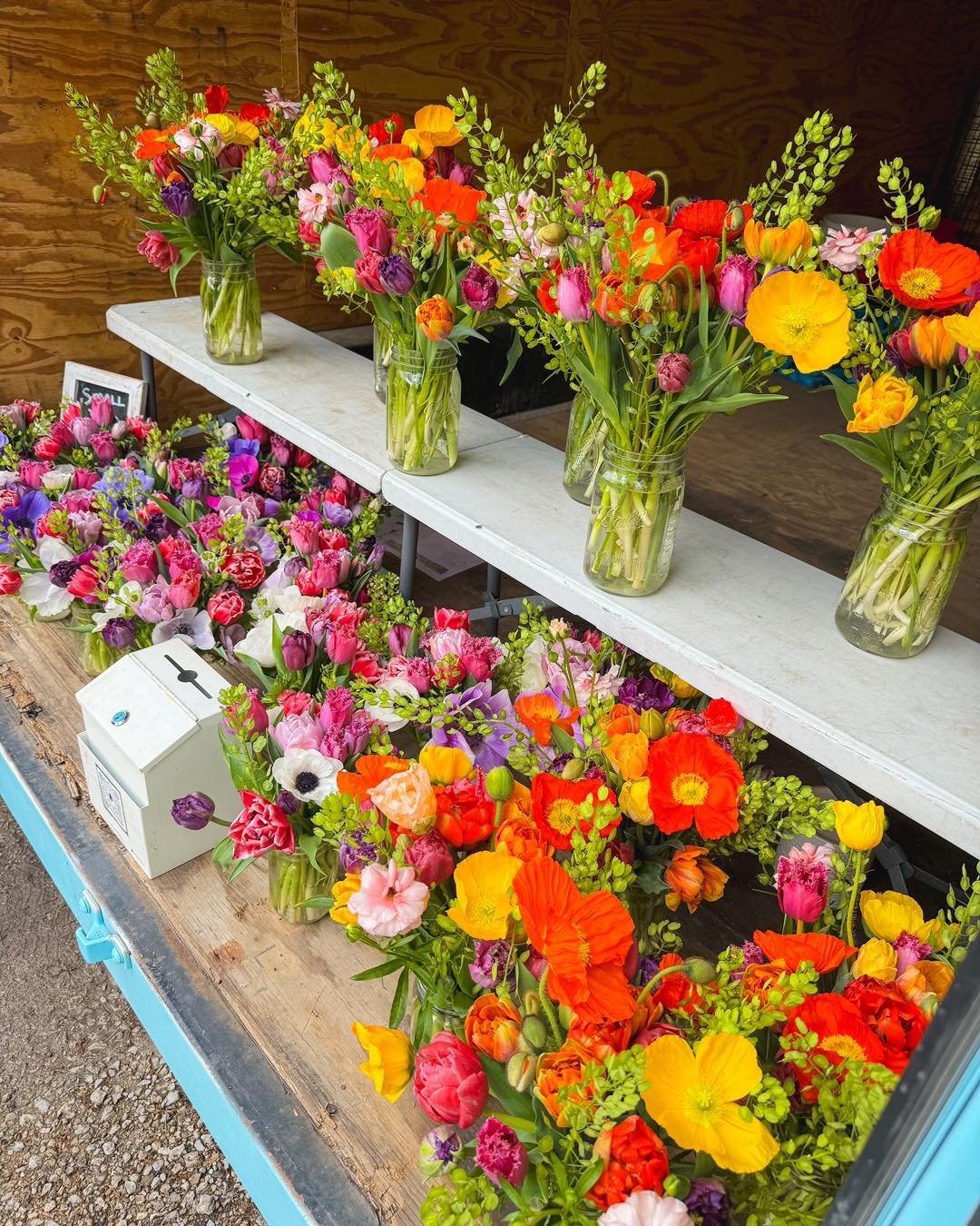 💐FARM STAND IS OPEN!!!💐

We are open today, Saturday, from 10am-2pm!  There&rsquo;s more up against the garage, as well, due to the wind! We have beautiful large and small mixed jars, fluffy tulip bunches, only a couple of ranunculus bunches, Icela